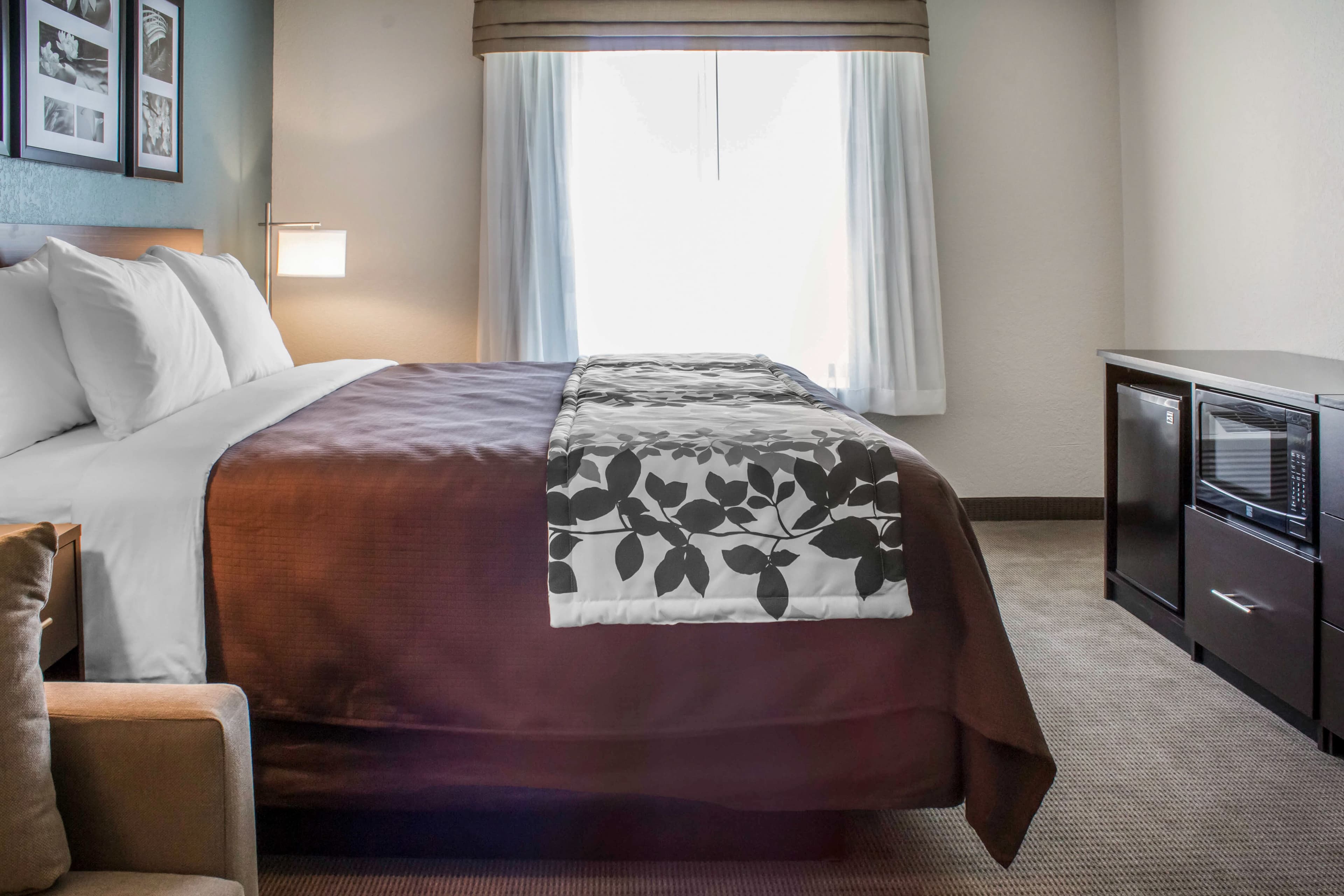 Sleep Inn & Suites Fort Dodge — 27