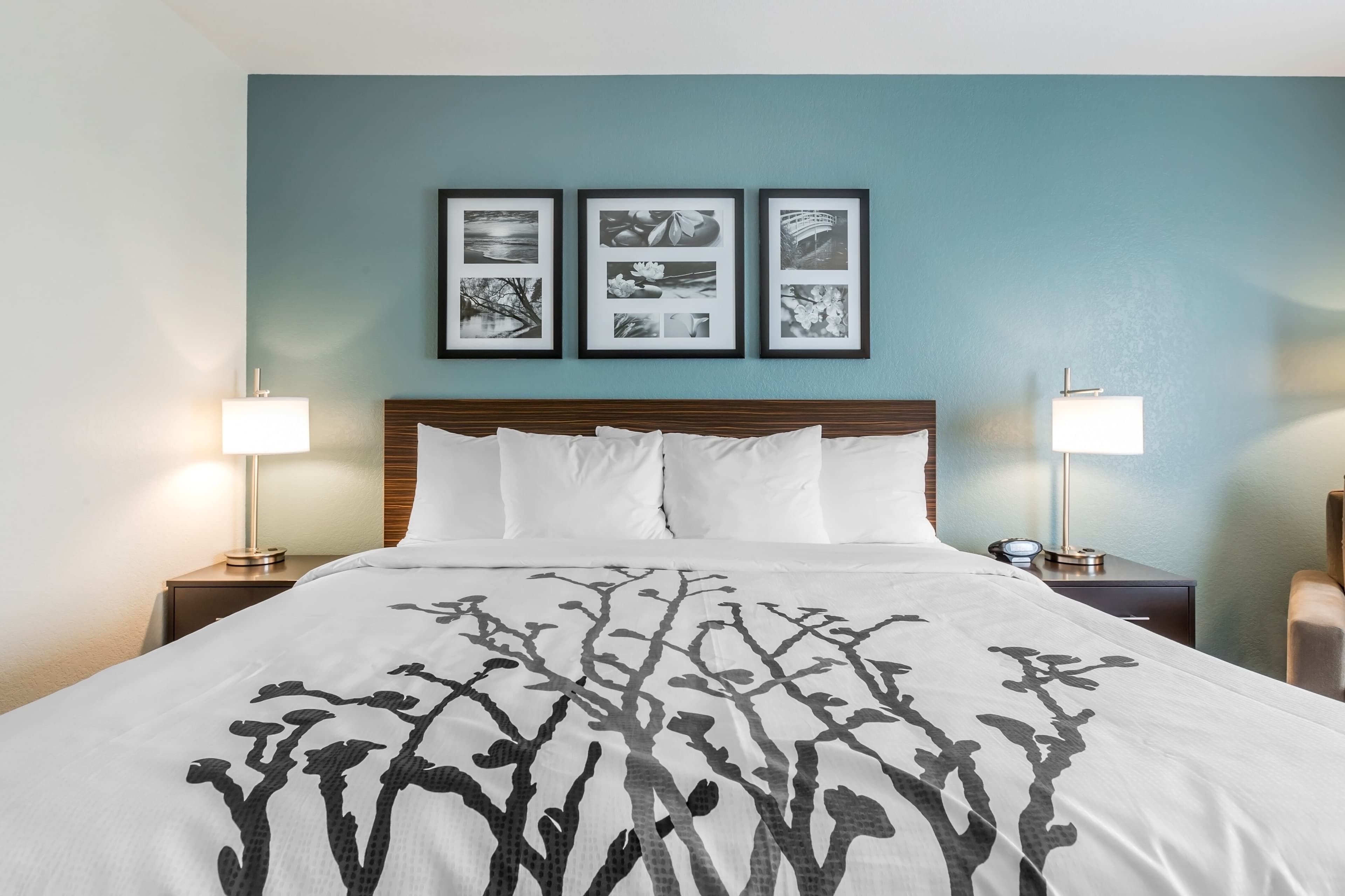 Sleep Inn & Suites West Des Moines near Jordan Creek — 10