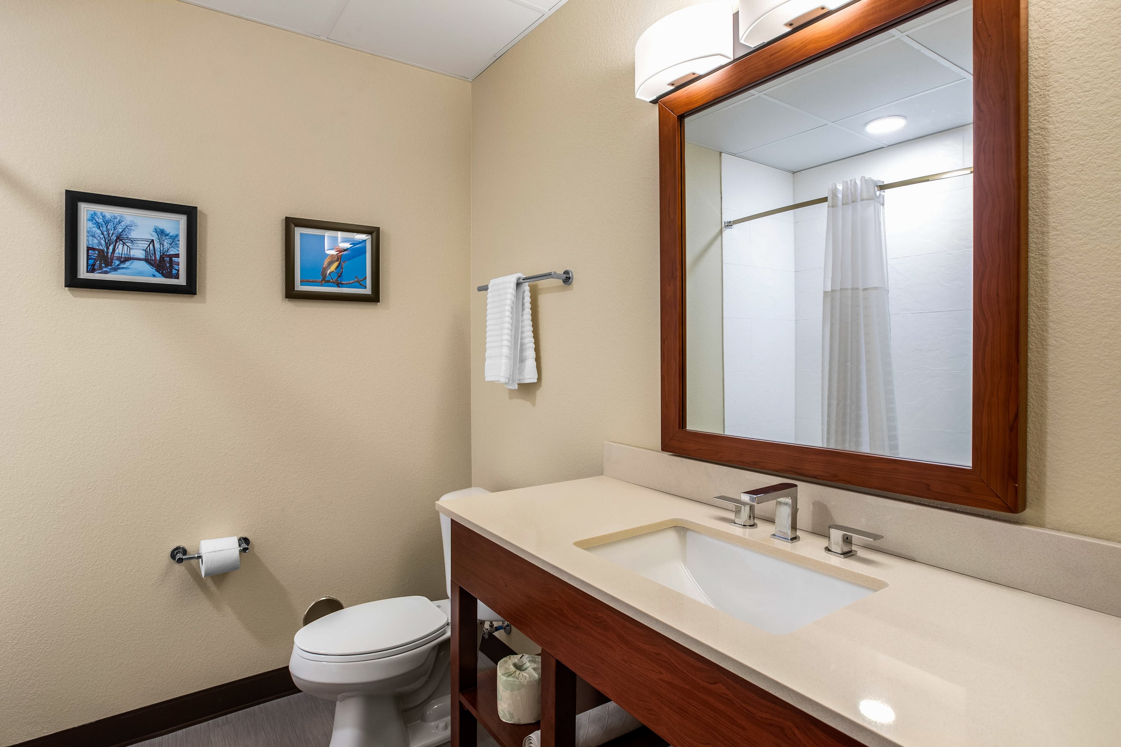Comfort Inn & Suites Ames near ISU Campus — 9