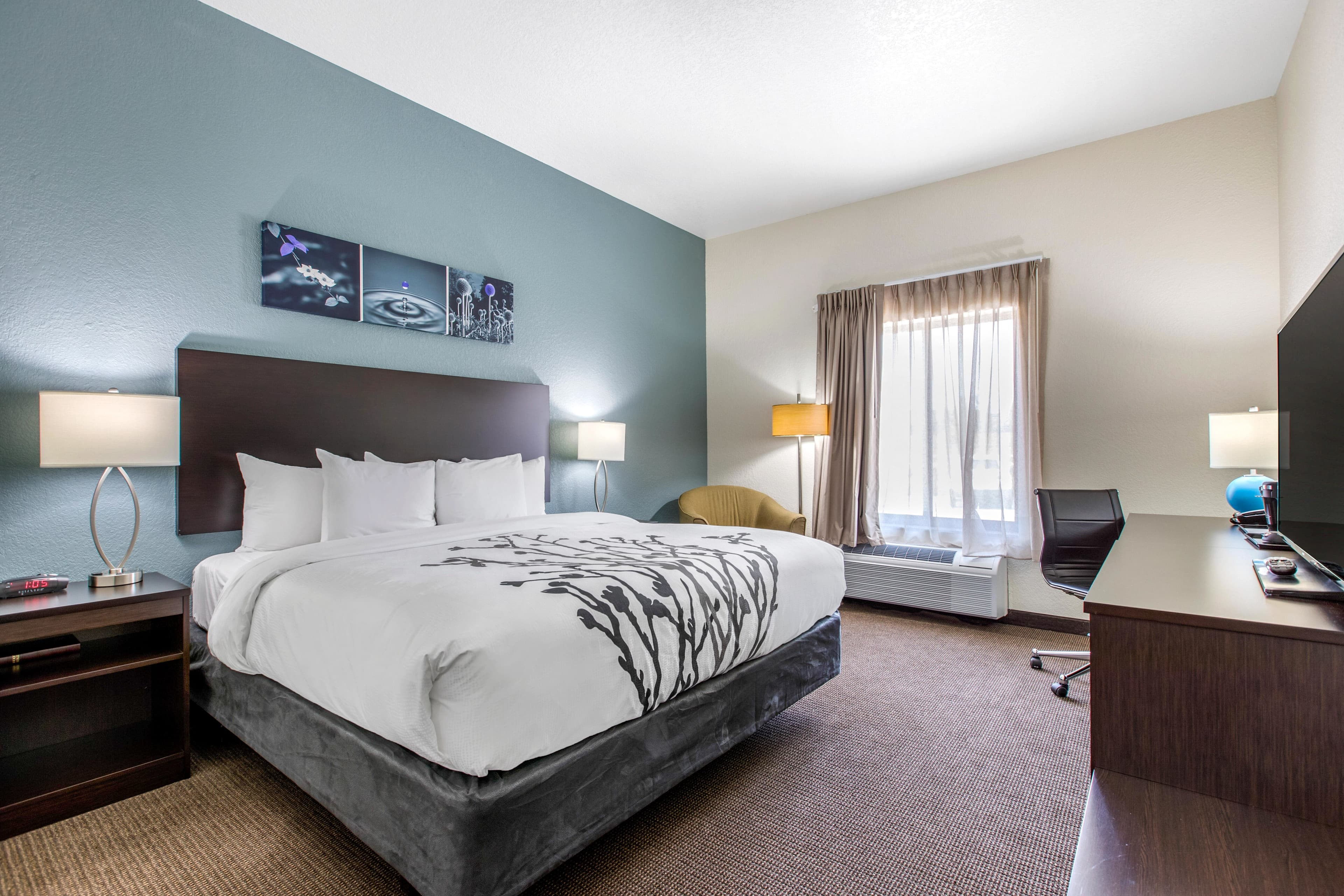 Sleep Inn & Suites Ankeny - Des Moines - Image 2