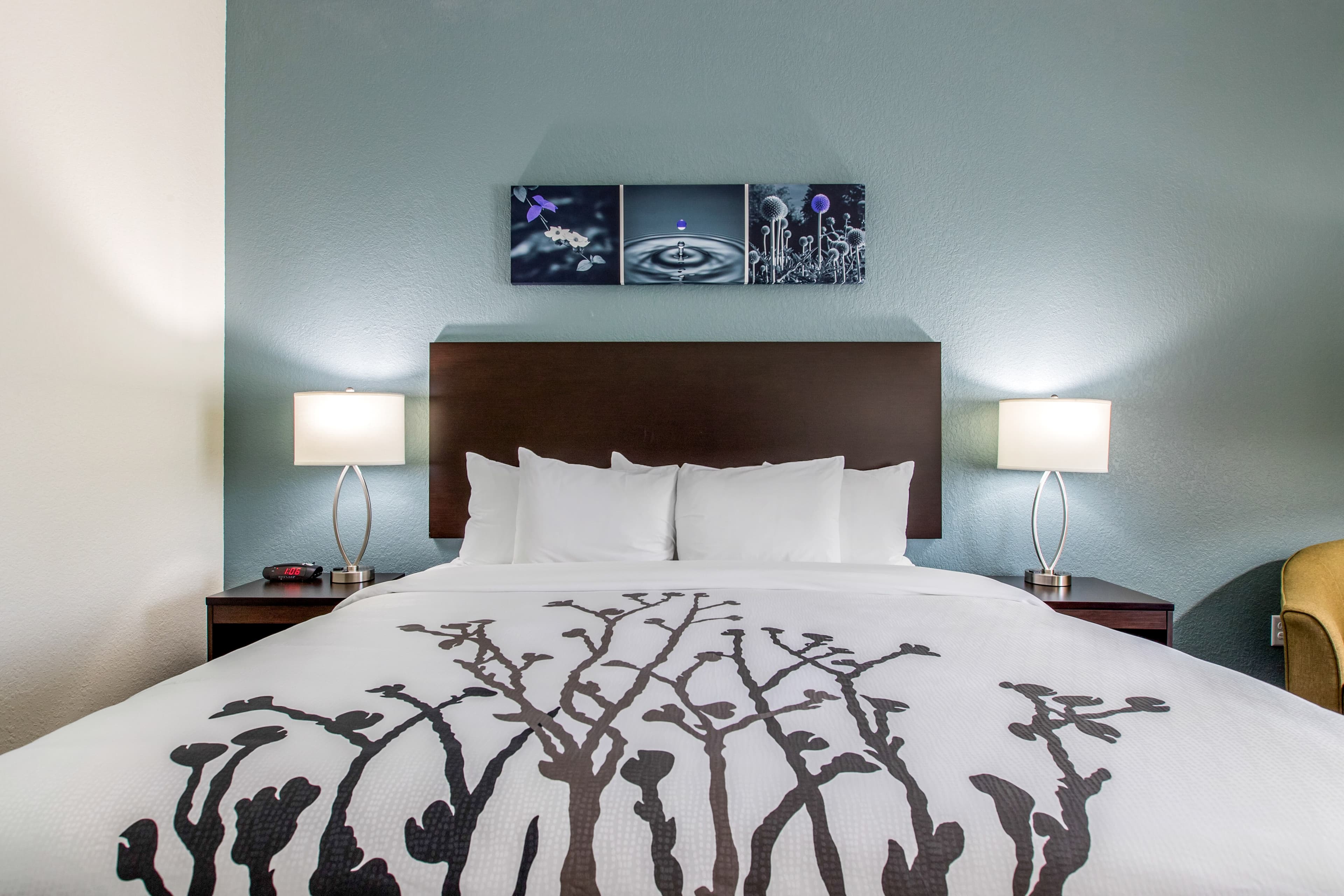 Sleep Inn & Suites Ankeny - Des Moines - Image 3