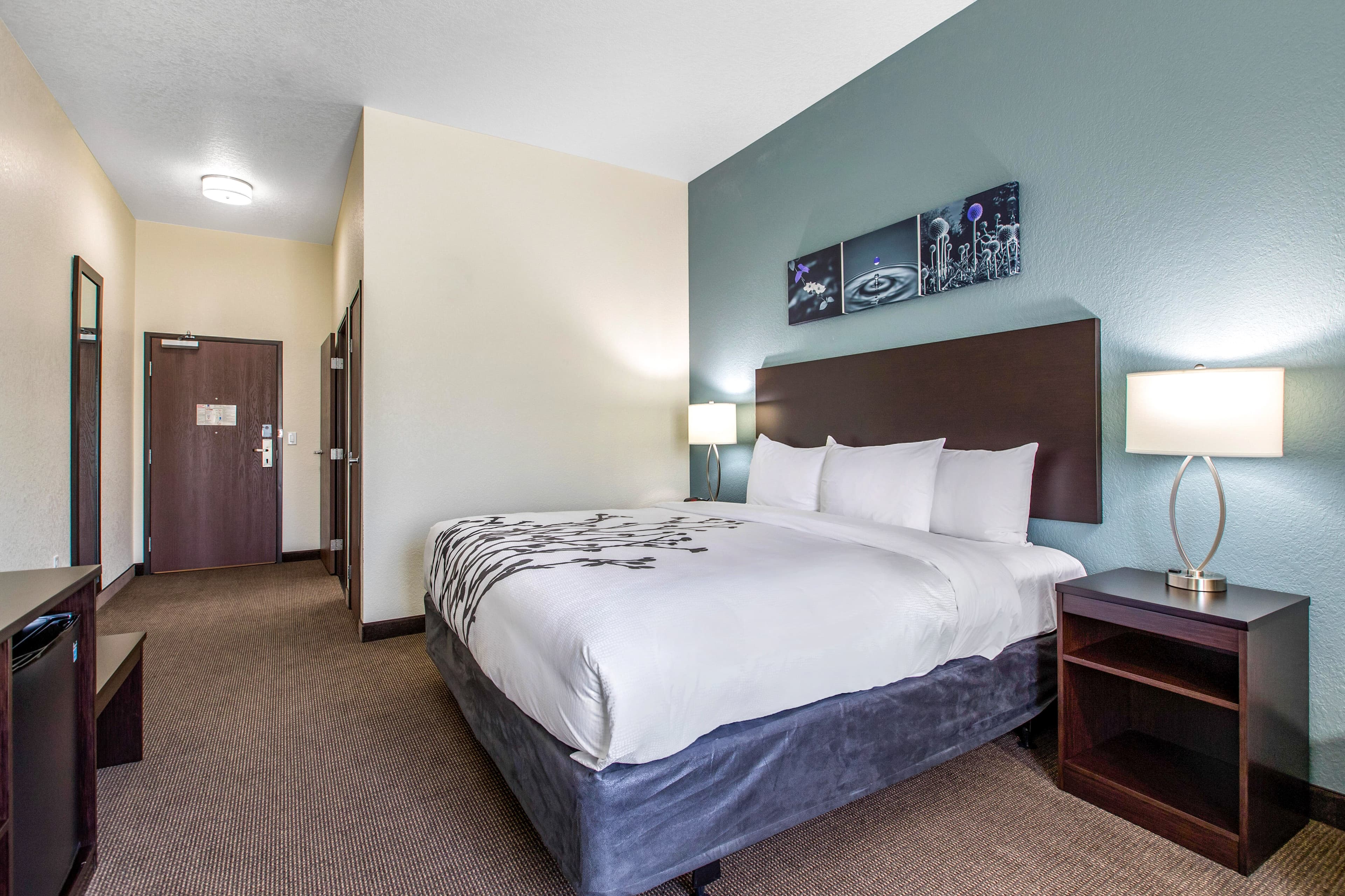 Sleep Inn & Suites Ankeny - Des Moines - Image 4