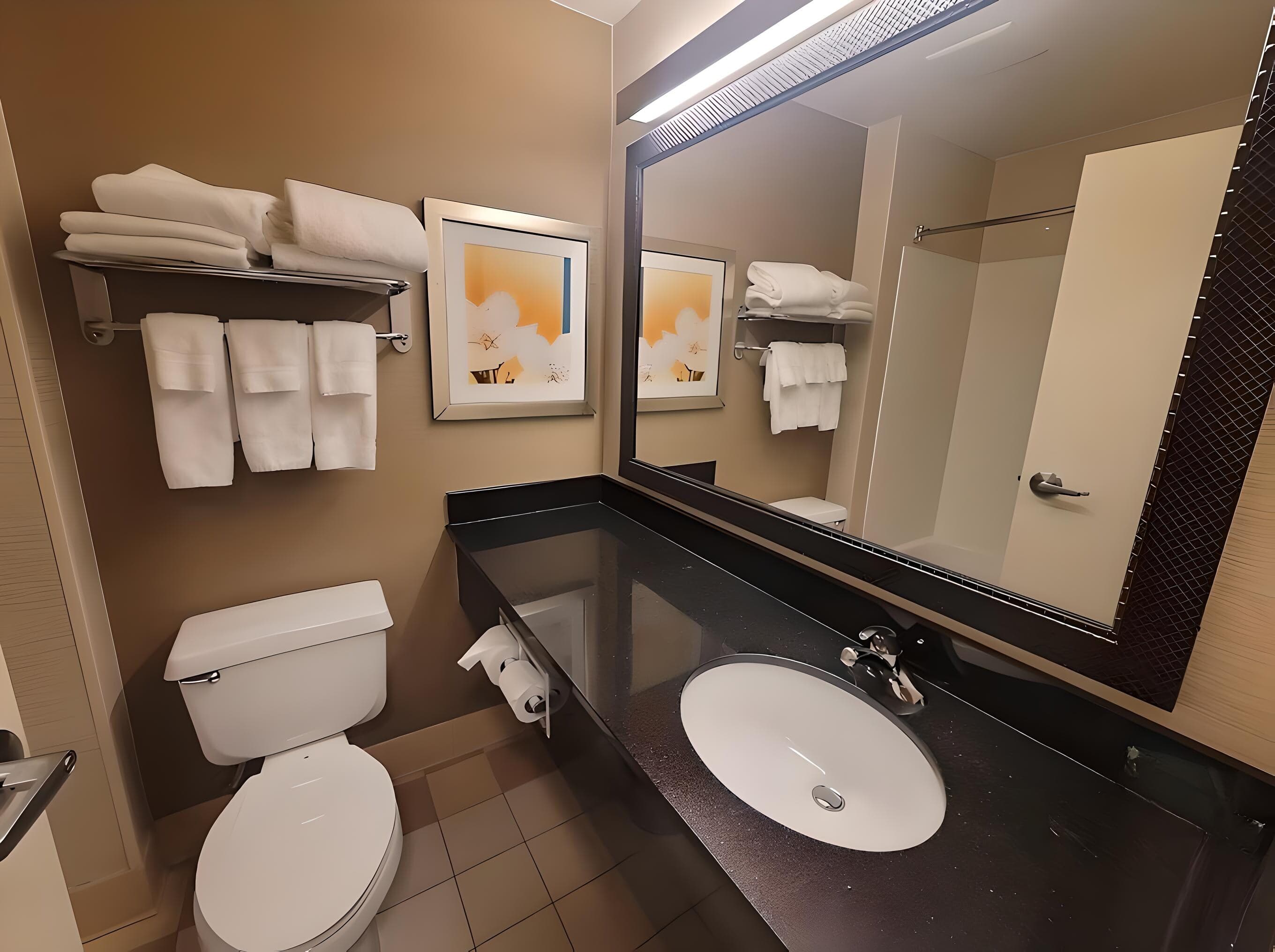 Dubuque Inn & Suites — 8