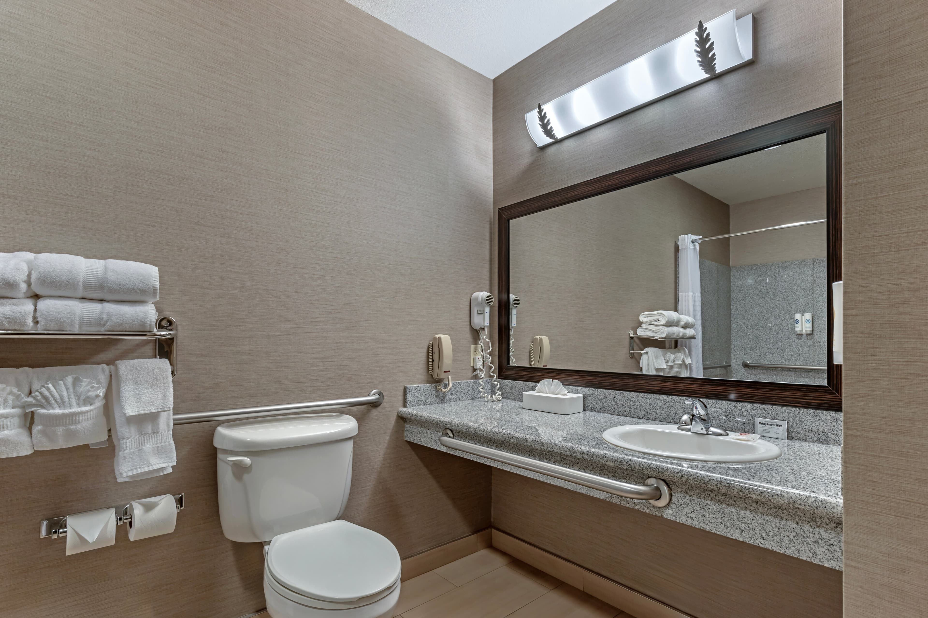 Comfort Suites Boise West Meridian - Image 5