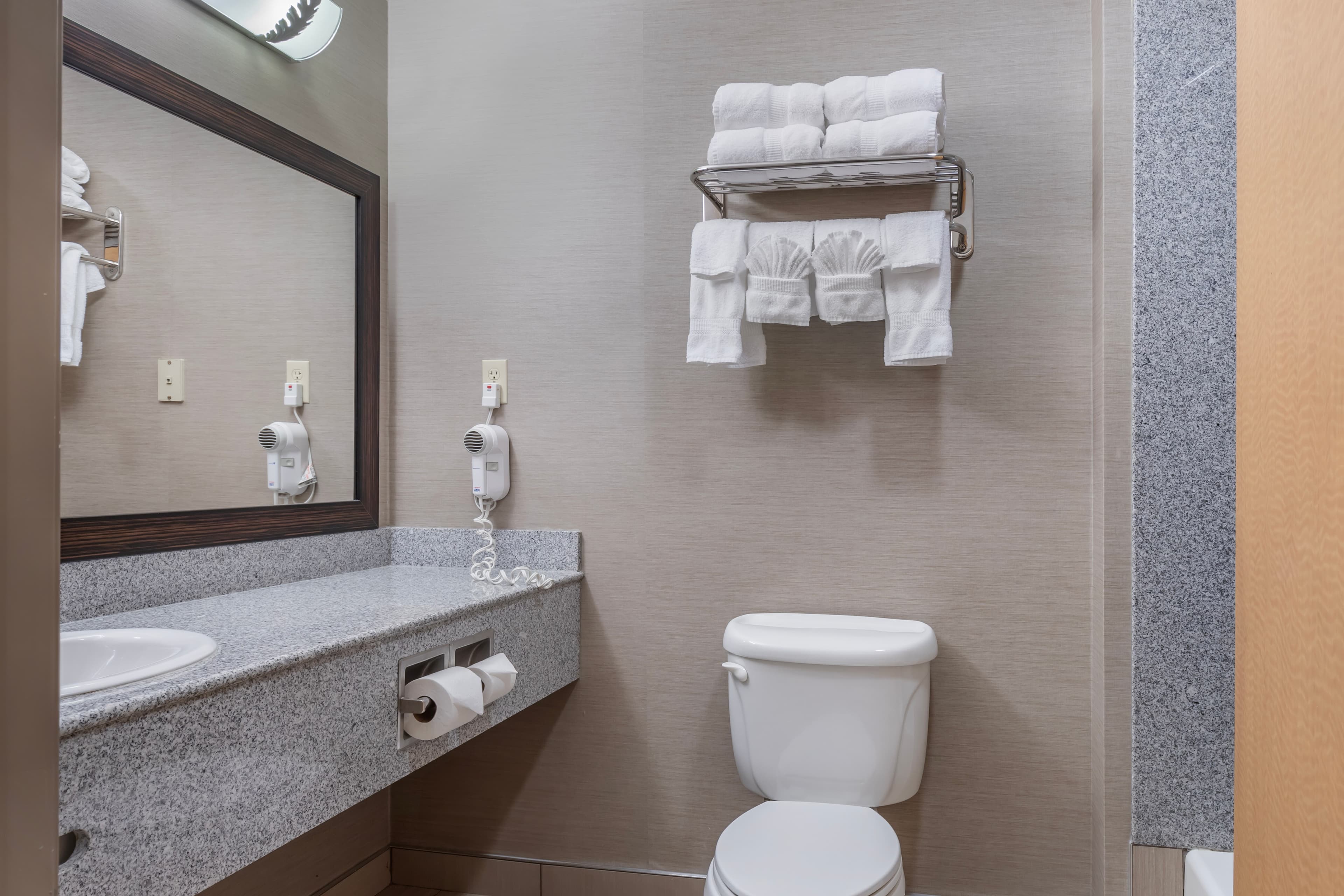 Comfort Suites Boise West Meridian — 38