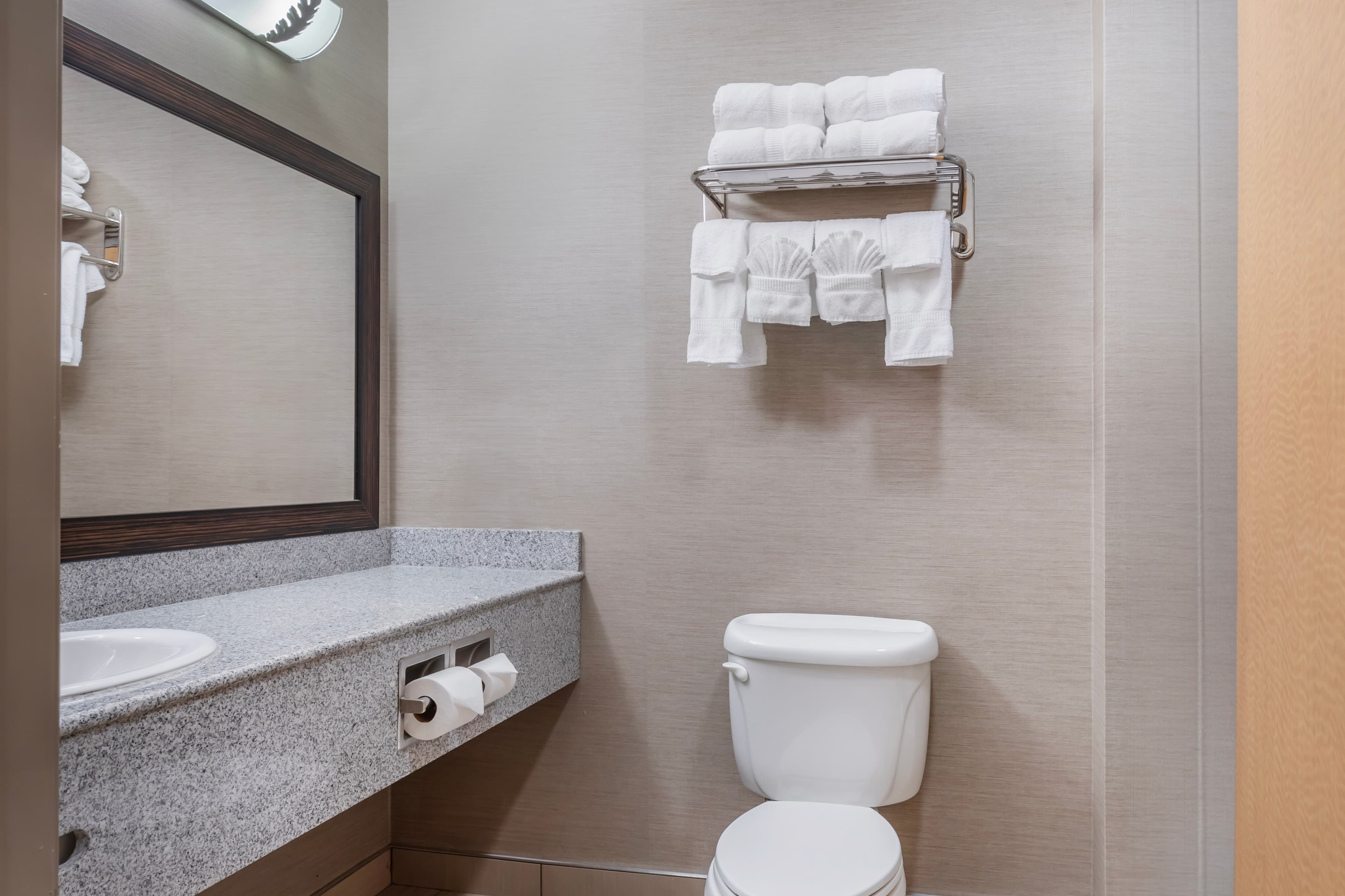 Comfort Suites Boise West Meridian — 32