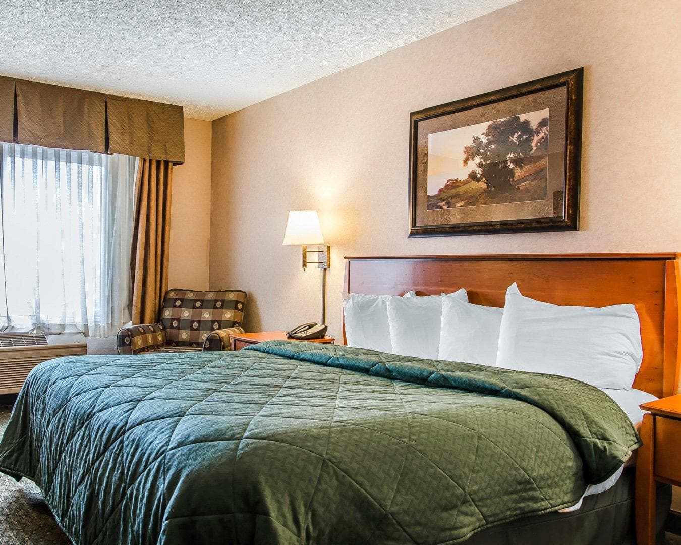 Quality Inn & Suites Twin Falls North - Image 2