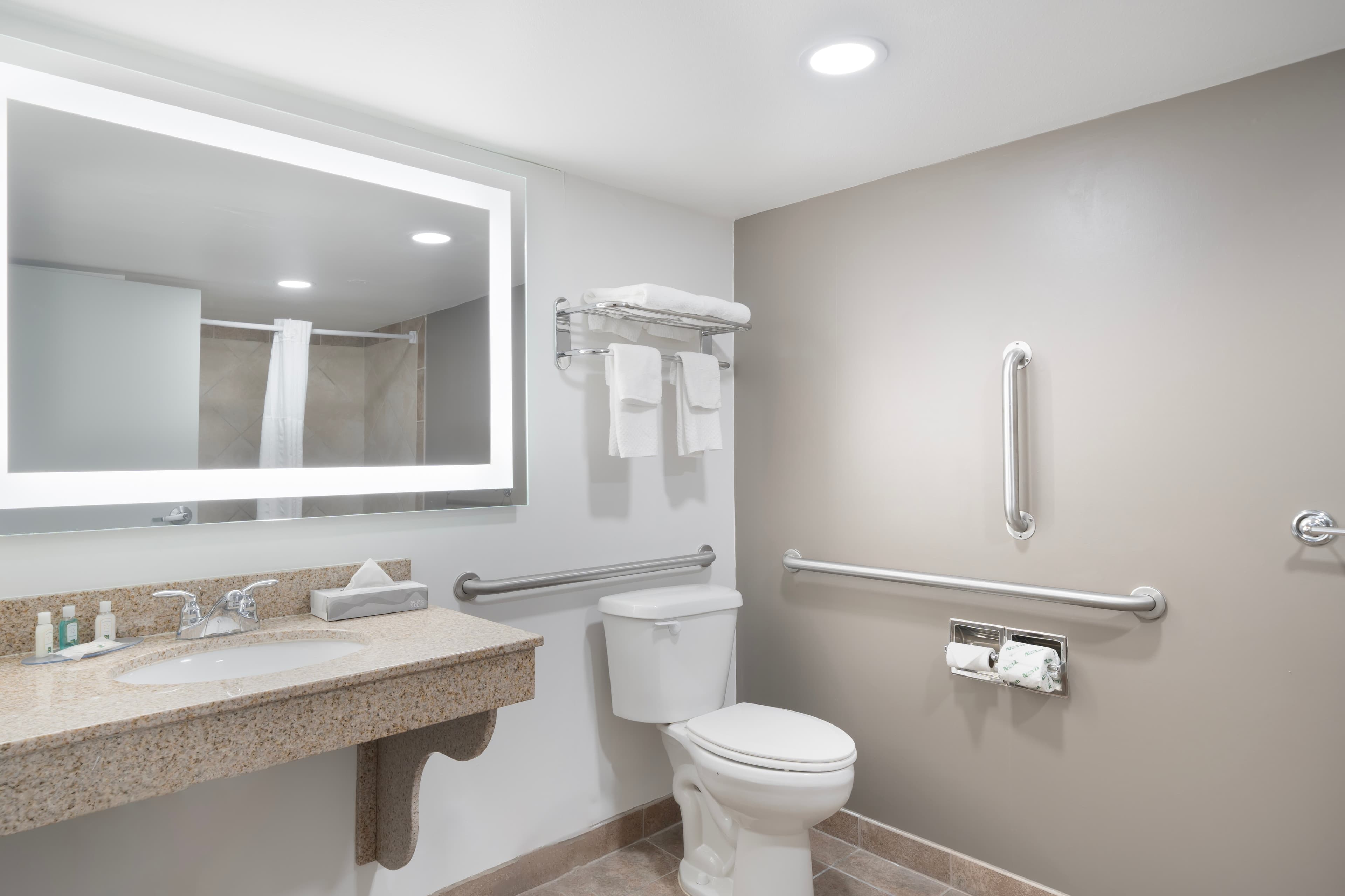 Quality Inn Idaho Falls — 10