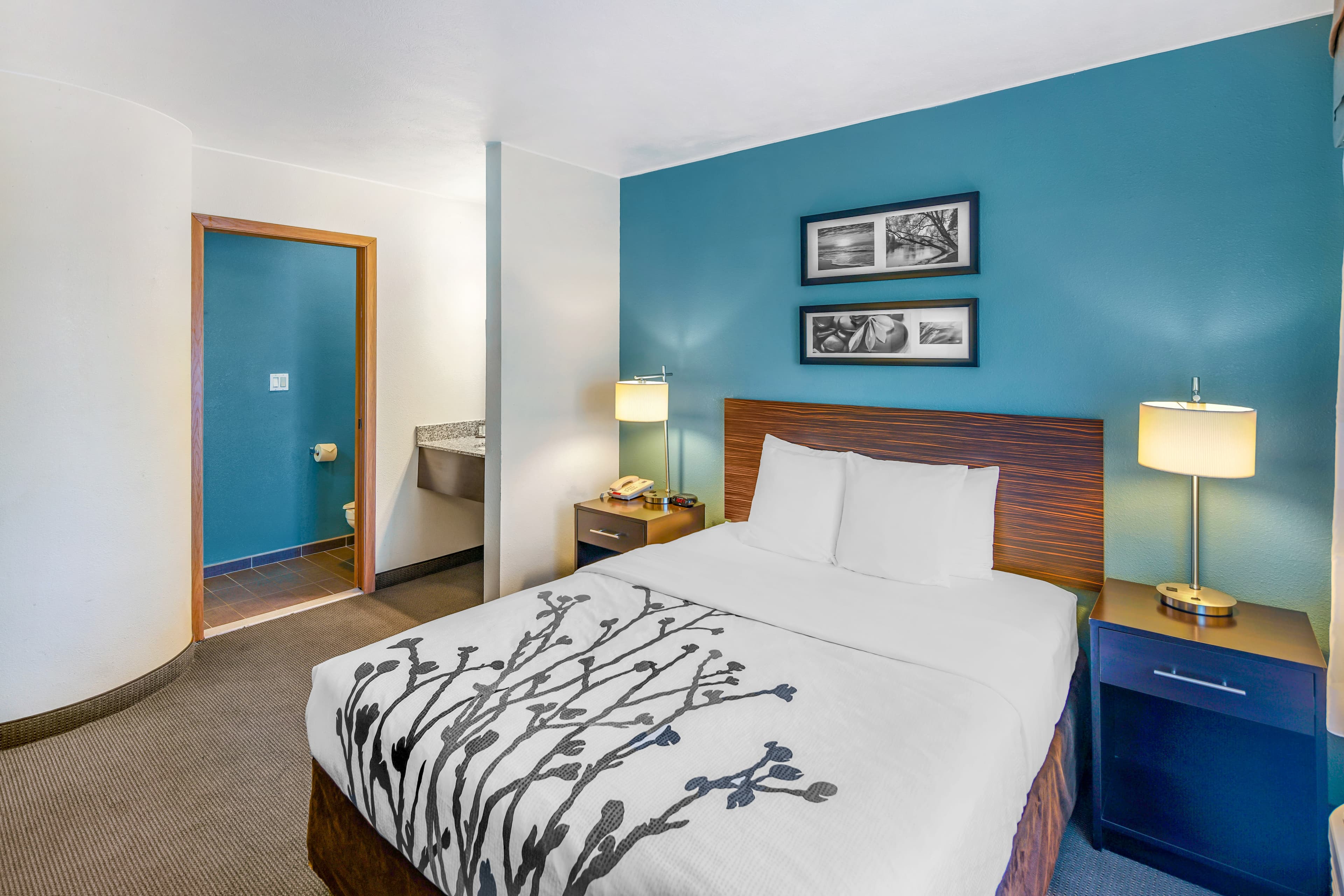 Sleep Inn near Washington State Line — 18