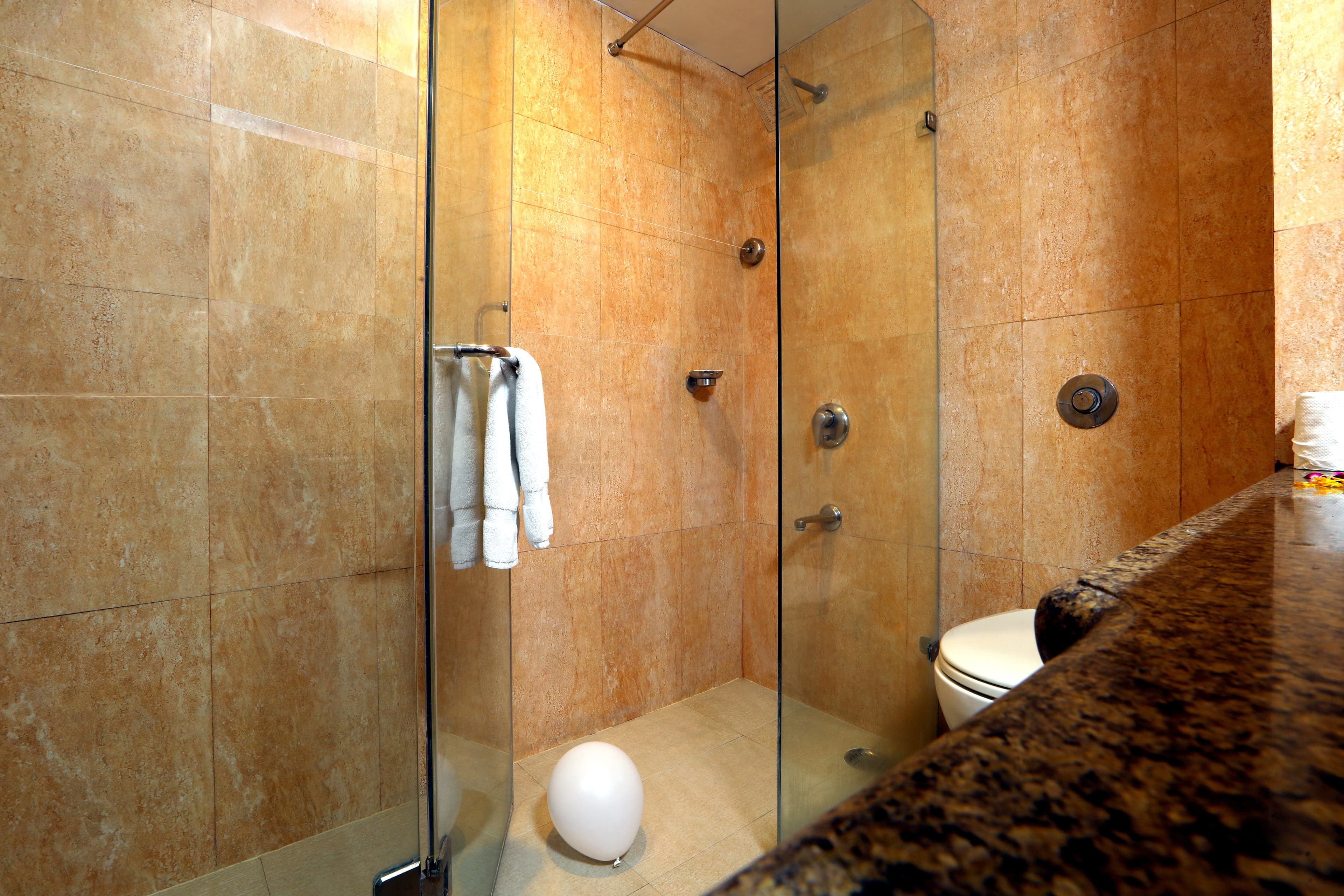 Comfort Inn Alstonia — 6