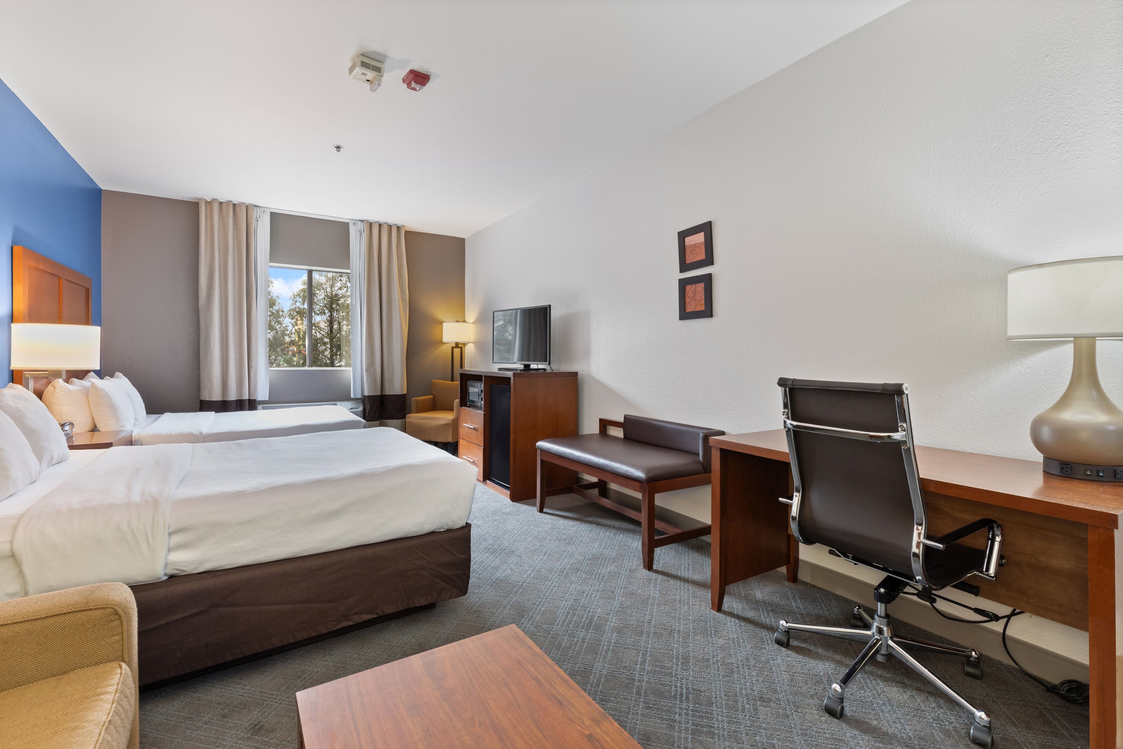 Comfort Suites Lombard - Addison - Image 5