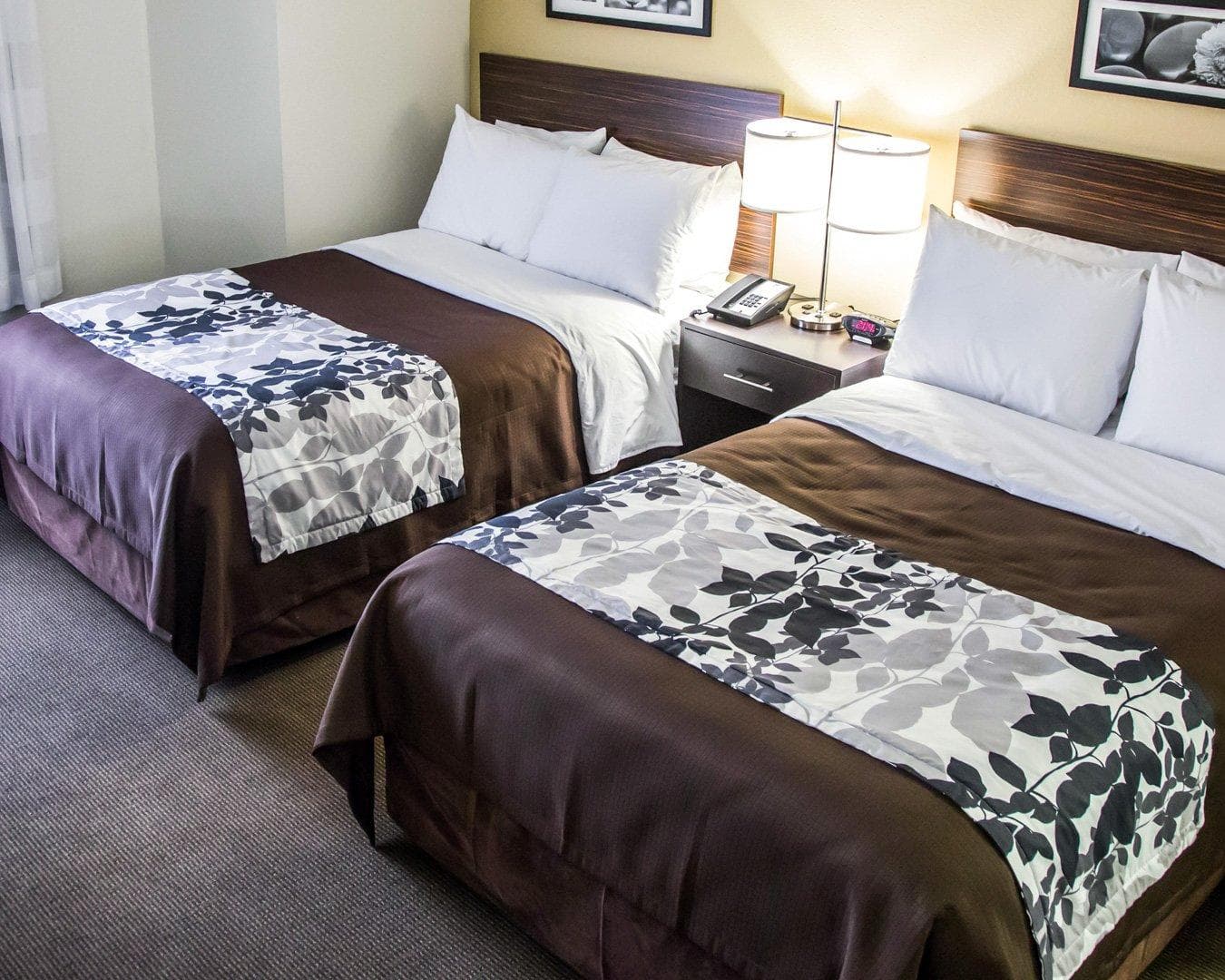 Sleep Inn Tinley Park I-80 near Amphitheatre-Convention Center — 6