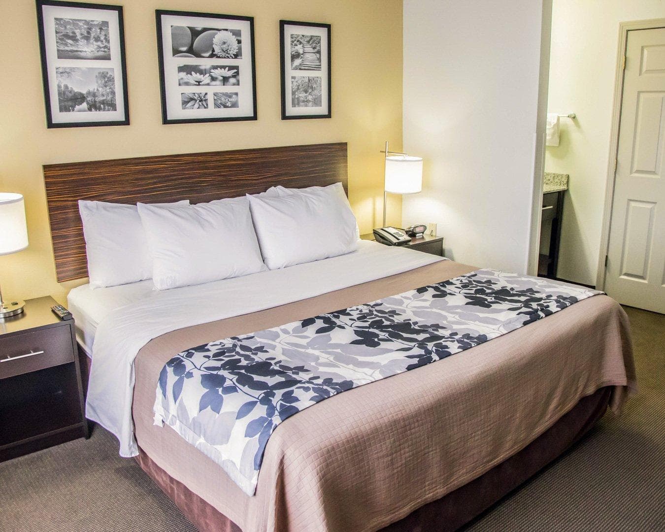 Sleep Inn Tinley Park I-80 near Amphitheatre-Convention Center — 11