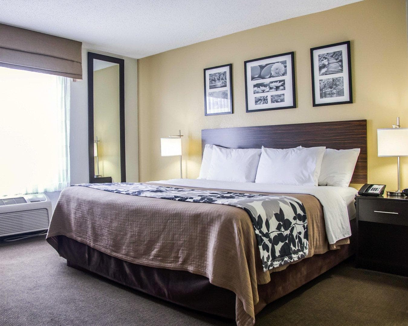 Sleep Inn Tinley Park I-80 near Amphitheatre-Convention Center — 12