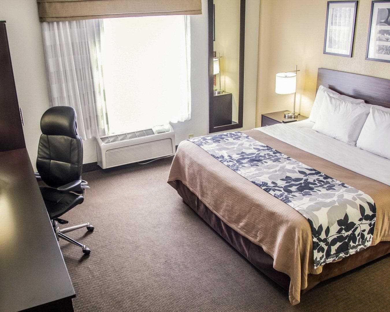 Sleep Inn Tinley Park I-80 near Amphitheatre-Convention Center — 13