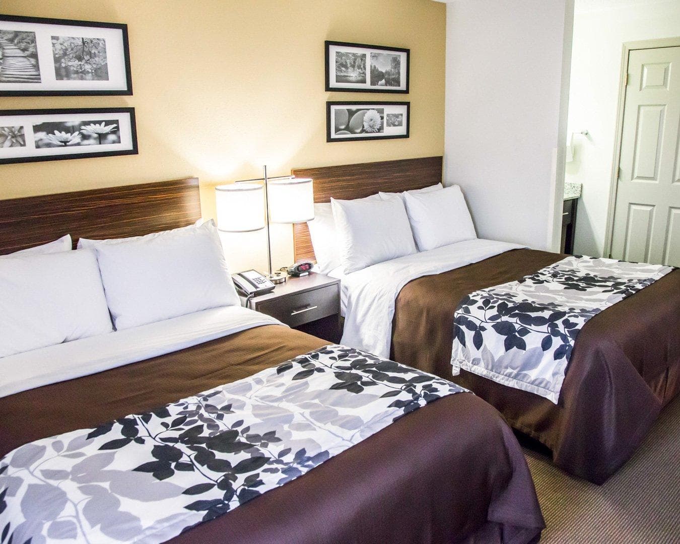 Sleep Inn Tinley Park I-80 near Amphitheatre-Convention Center — 9