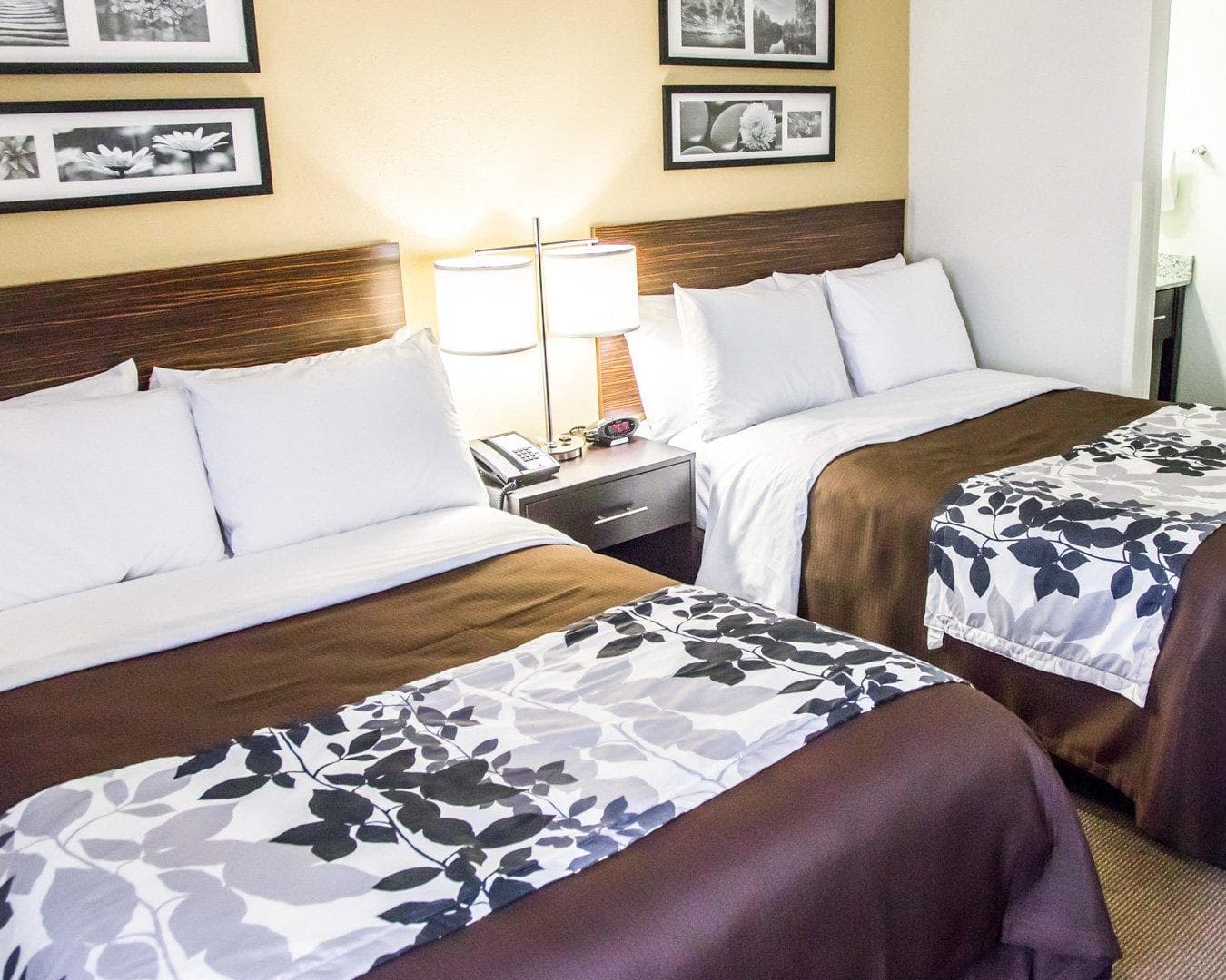 Sleep Inn Tinley Park I-80 near Amphitheatre-Convention Center — 10