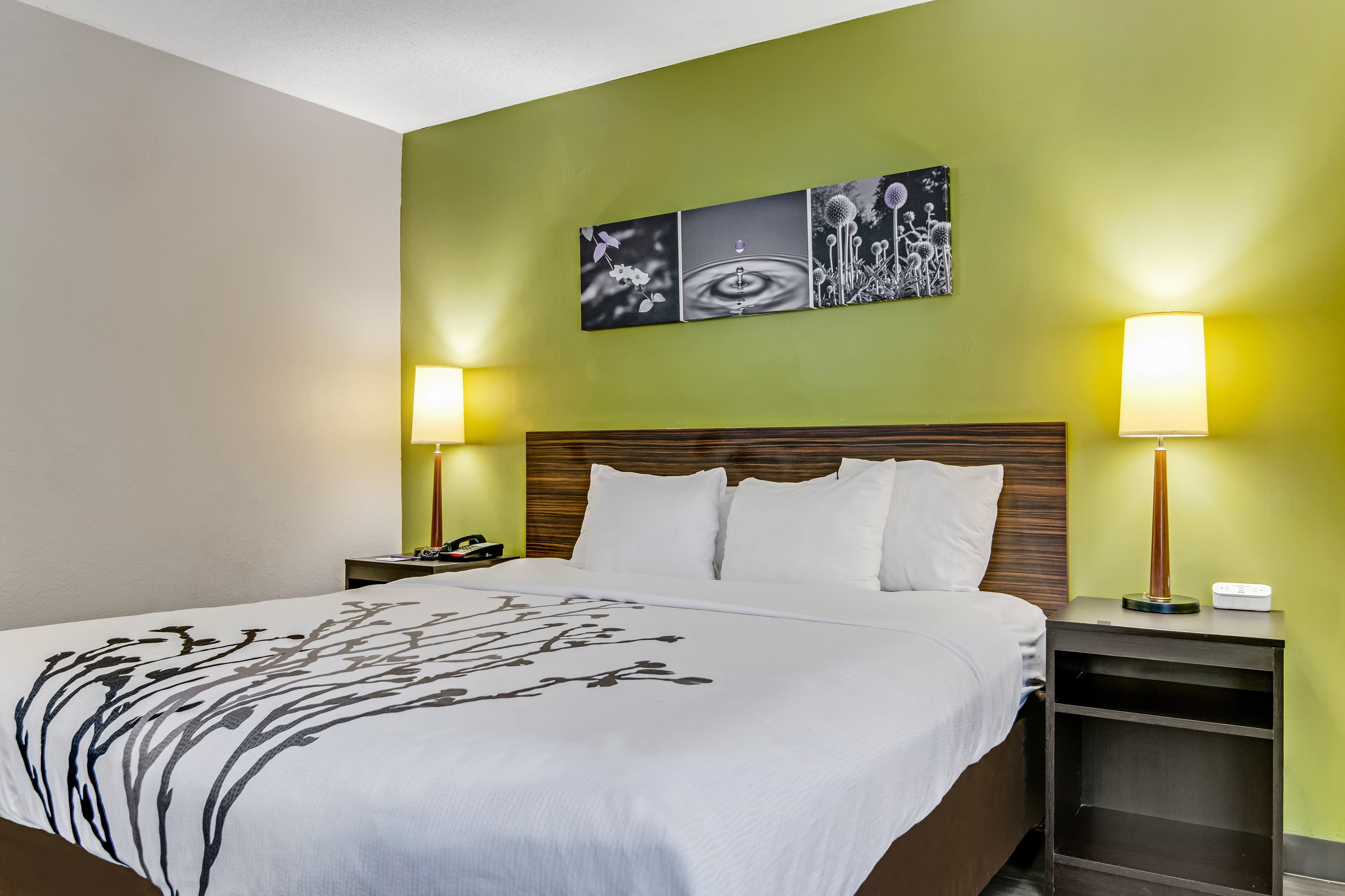 Sleep Inn near I-80 and I-94 — 14
