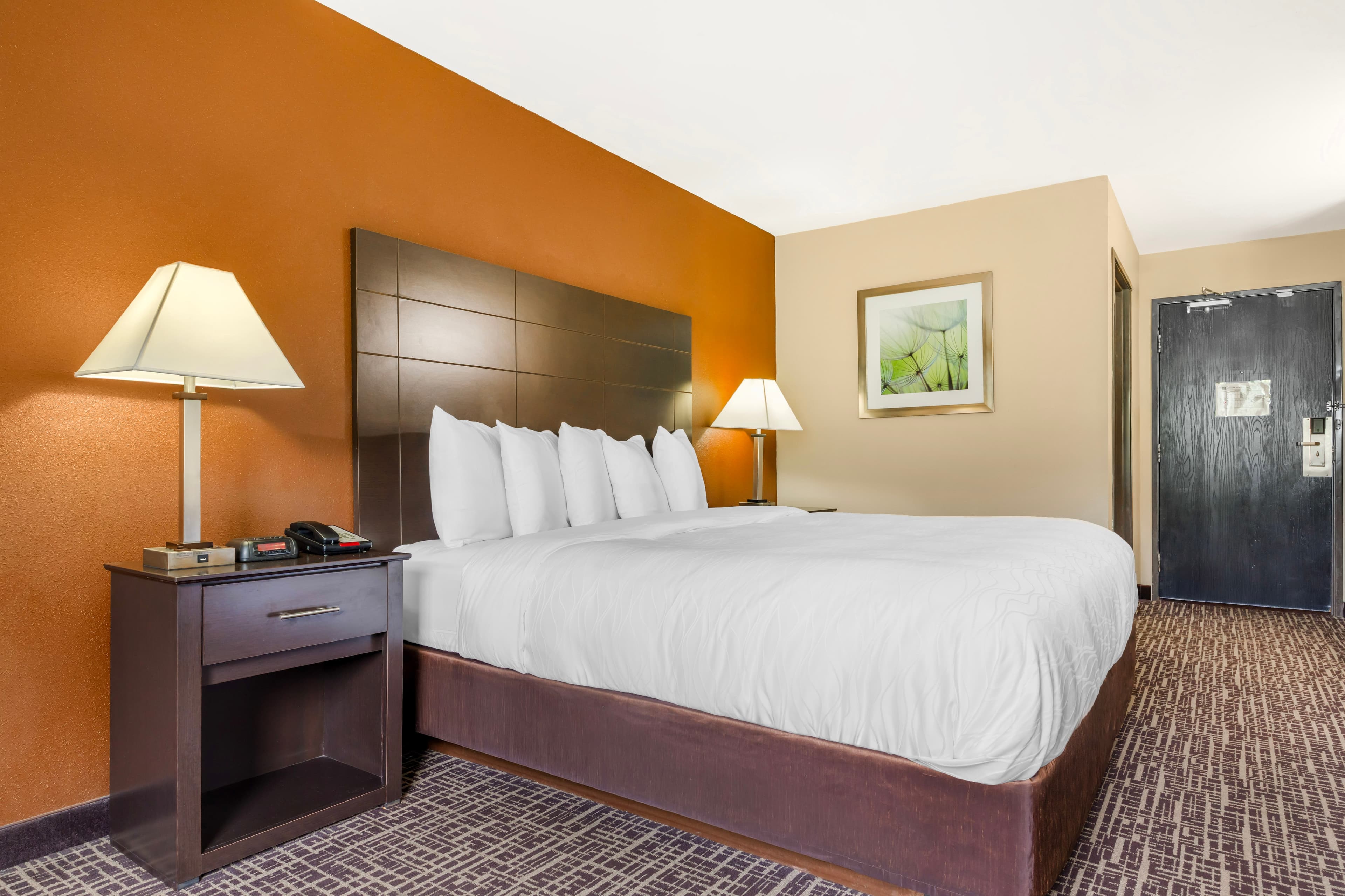 Quality Inn & Suites Caseyville - St. Louis — 6