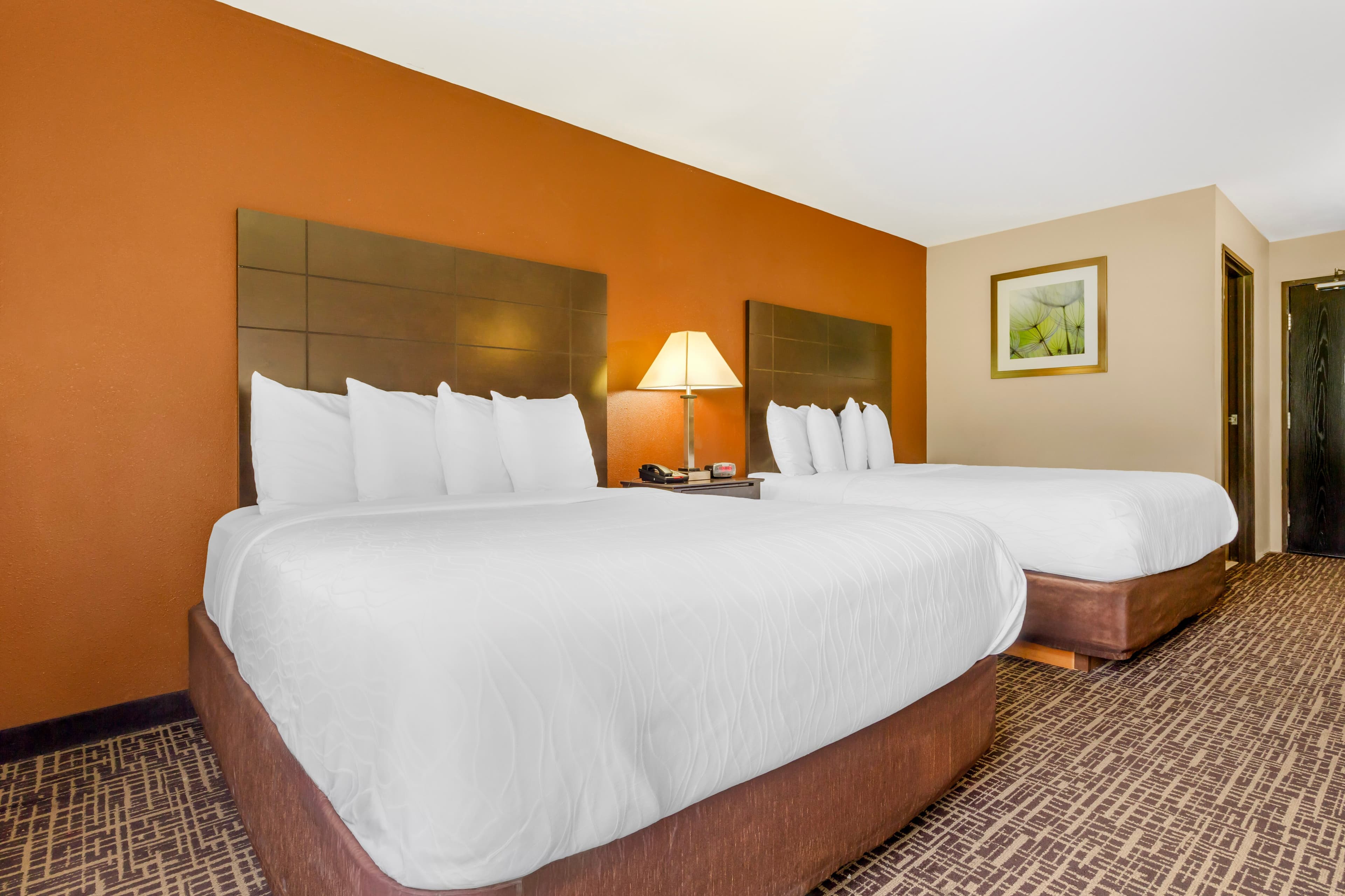 Quality Inn & Suites Caseyville - St. Louis — 10
