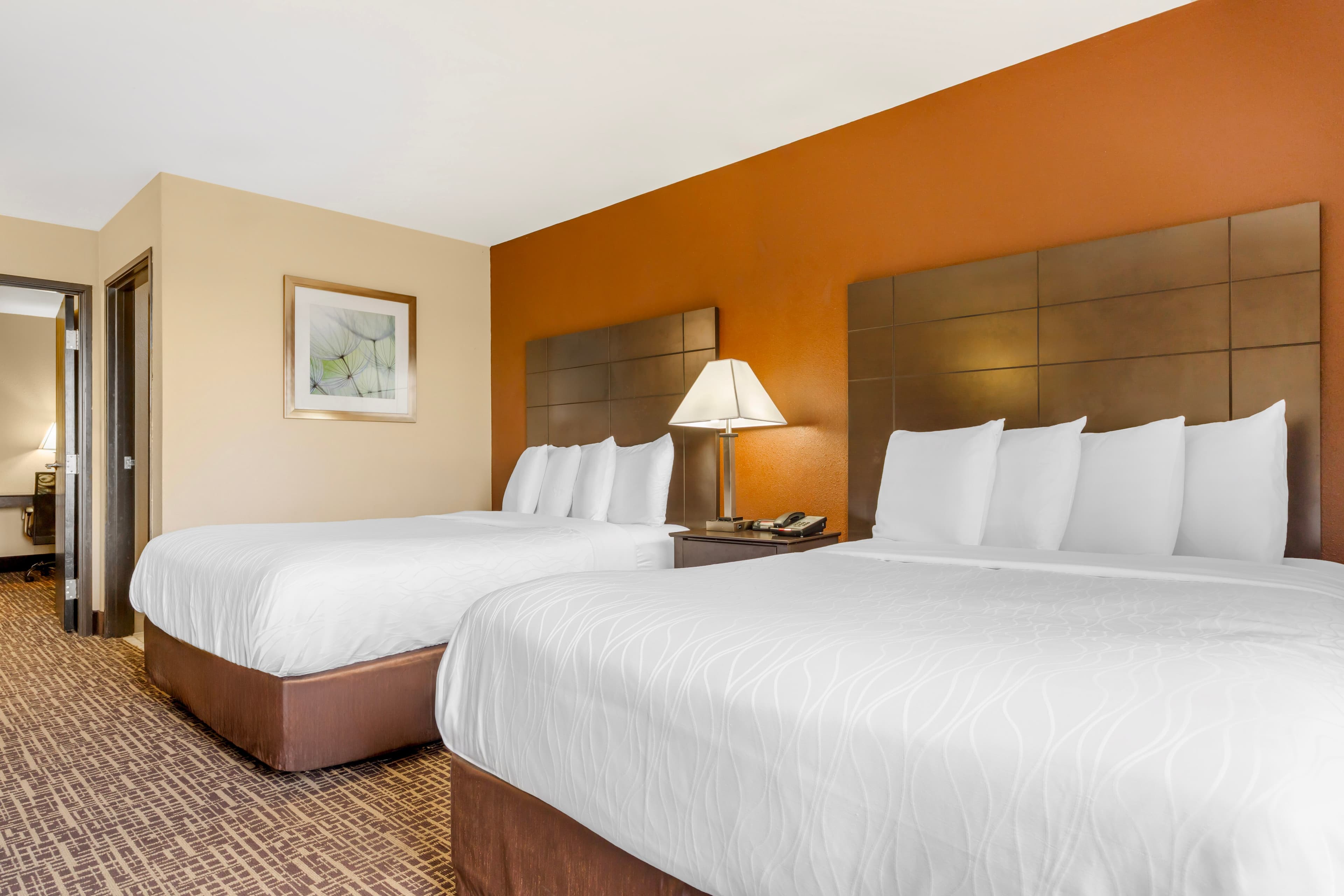 Quality Inn & Suites Caseyville - St. Louis — 23
