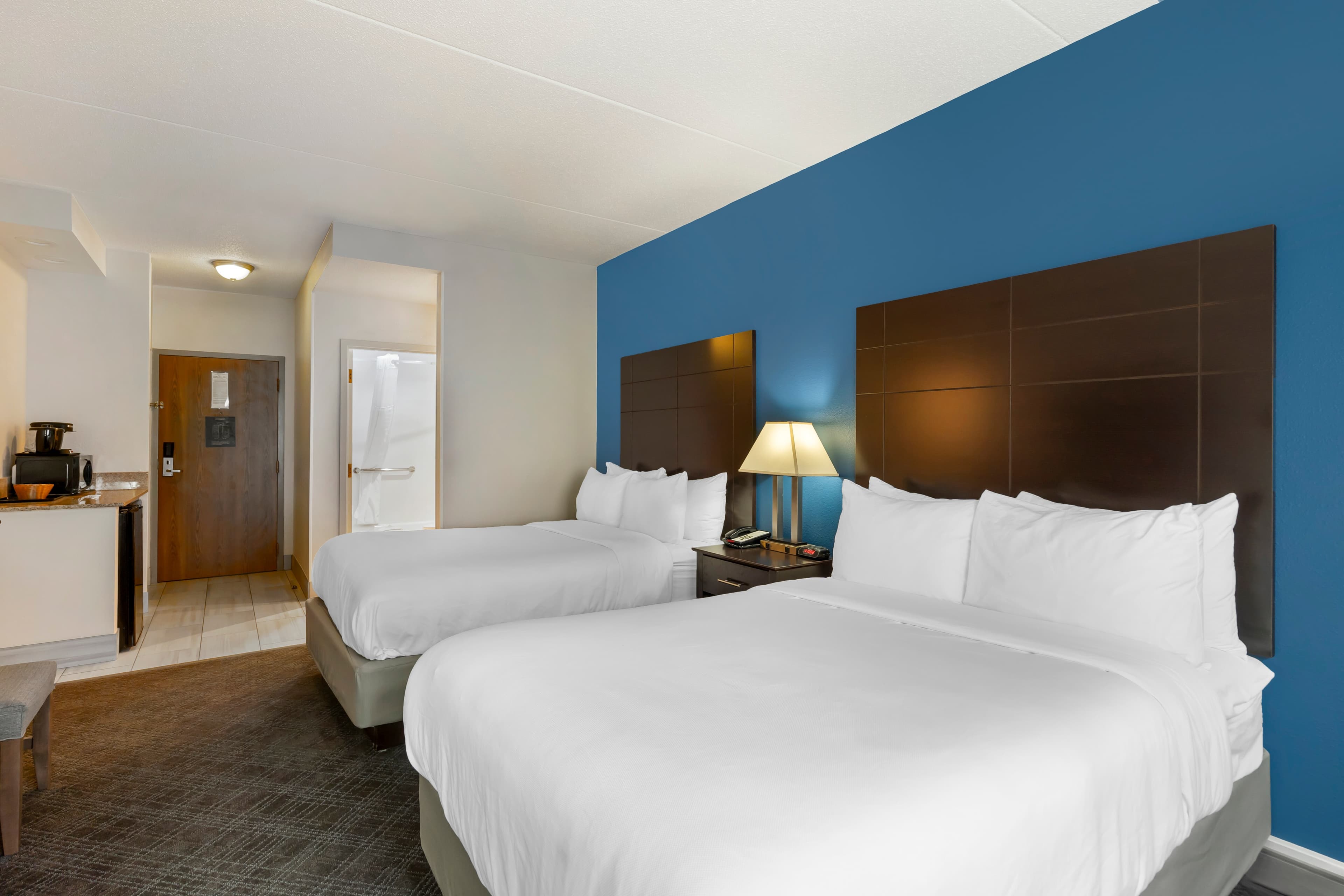 Comfort Inn & Suites Mundelein-Vernon Hills - Image 2