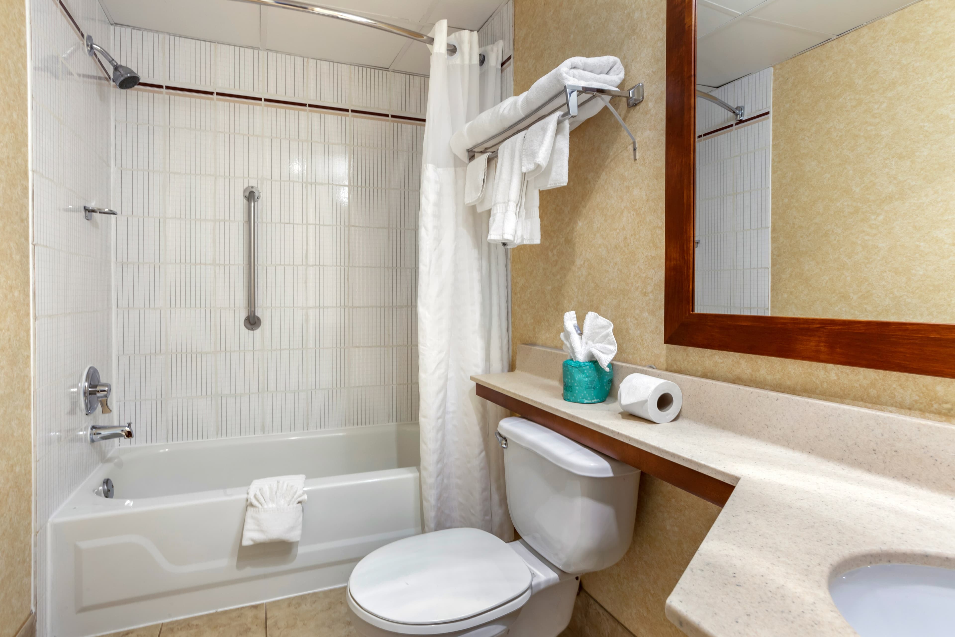 Comfort Suites Oakbrook Terrace near Oakbrook Center — 6