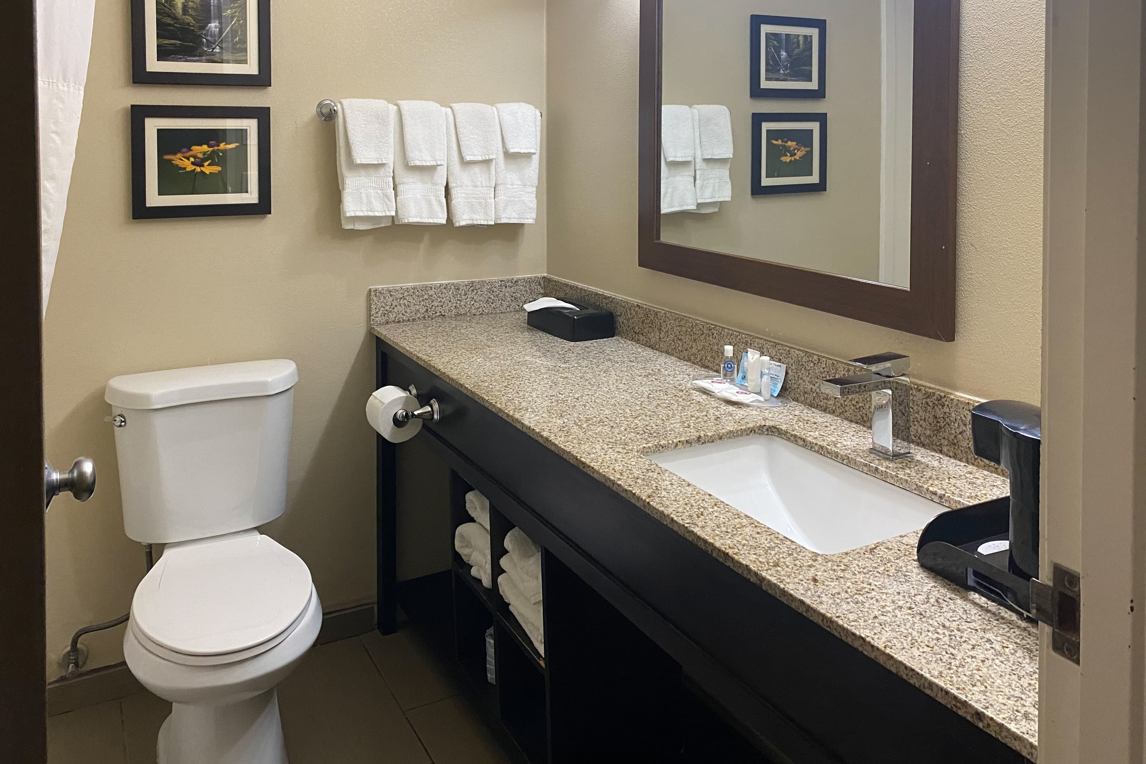 Comfort Suites Peoria I-74 — 9