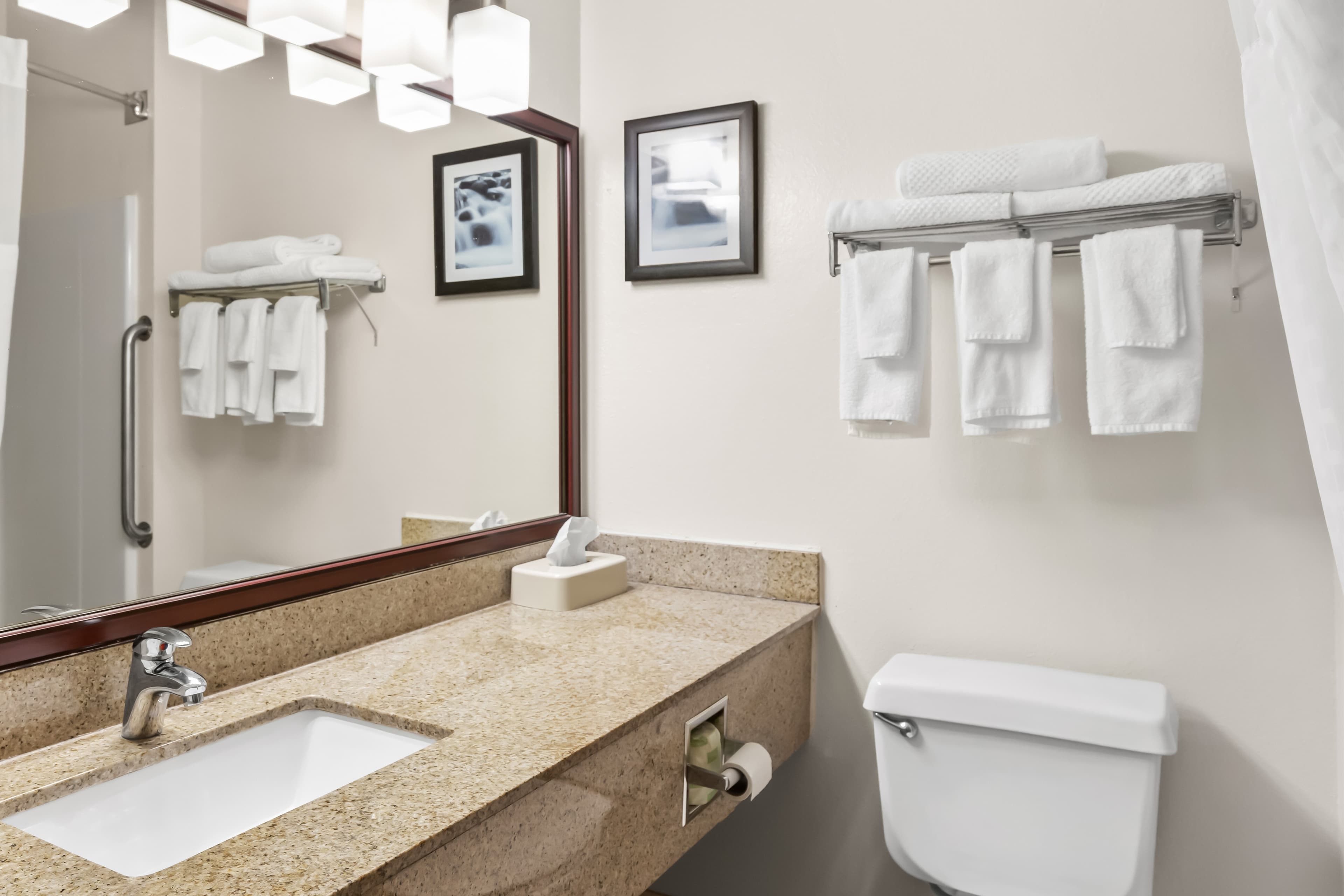 Quality Inn & Suites Springfield Southwest near I-72 — 34