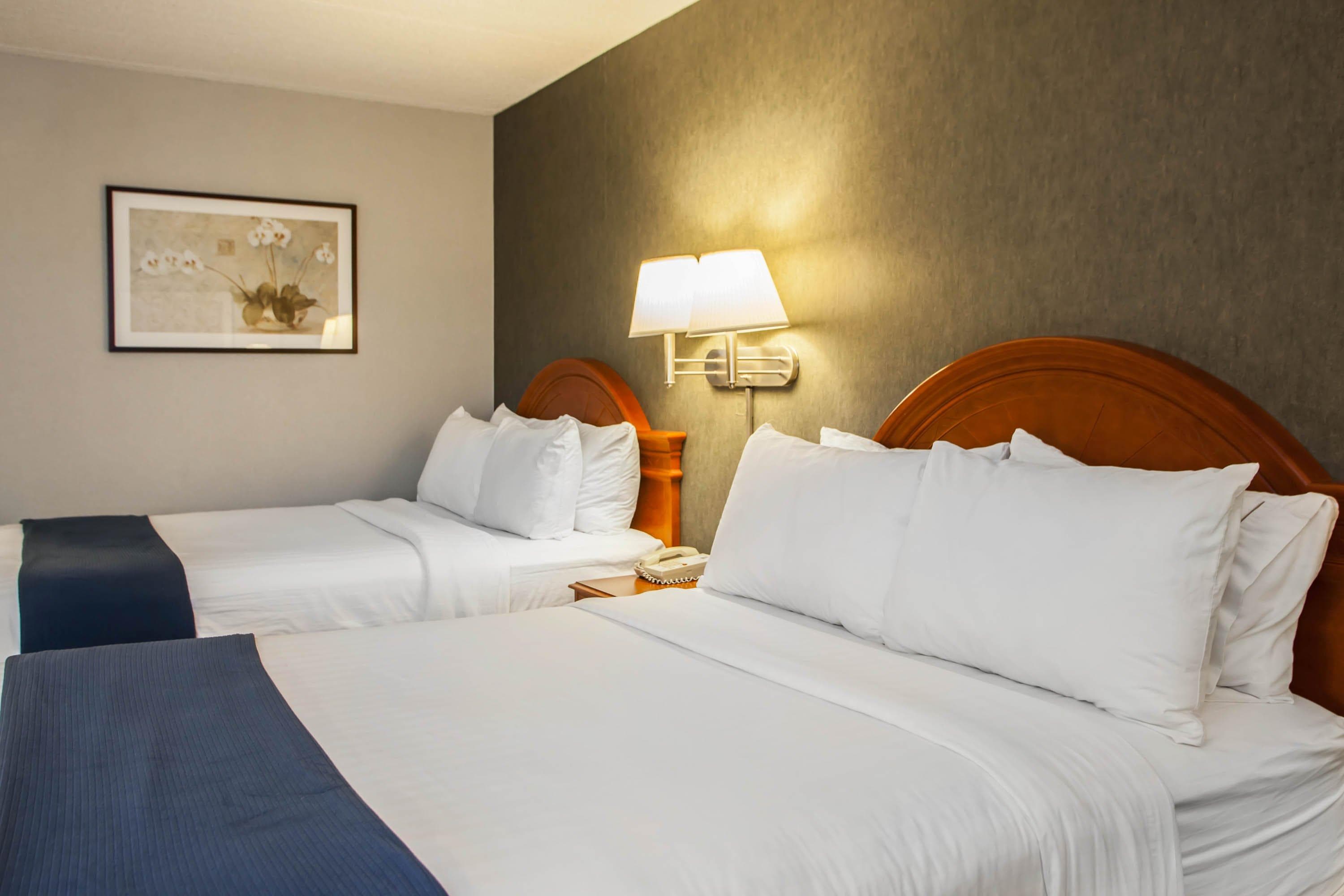 Quality Inn & Suites St Charles -West Chicago - Image 3