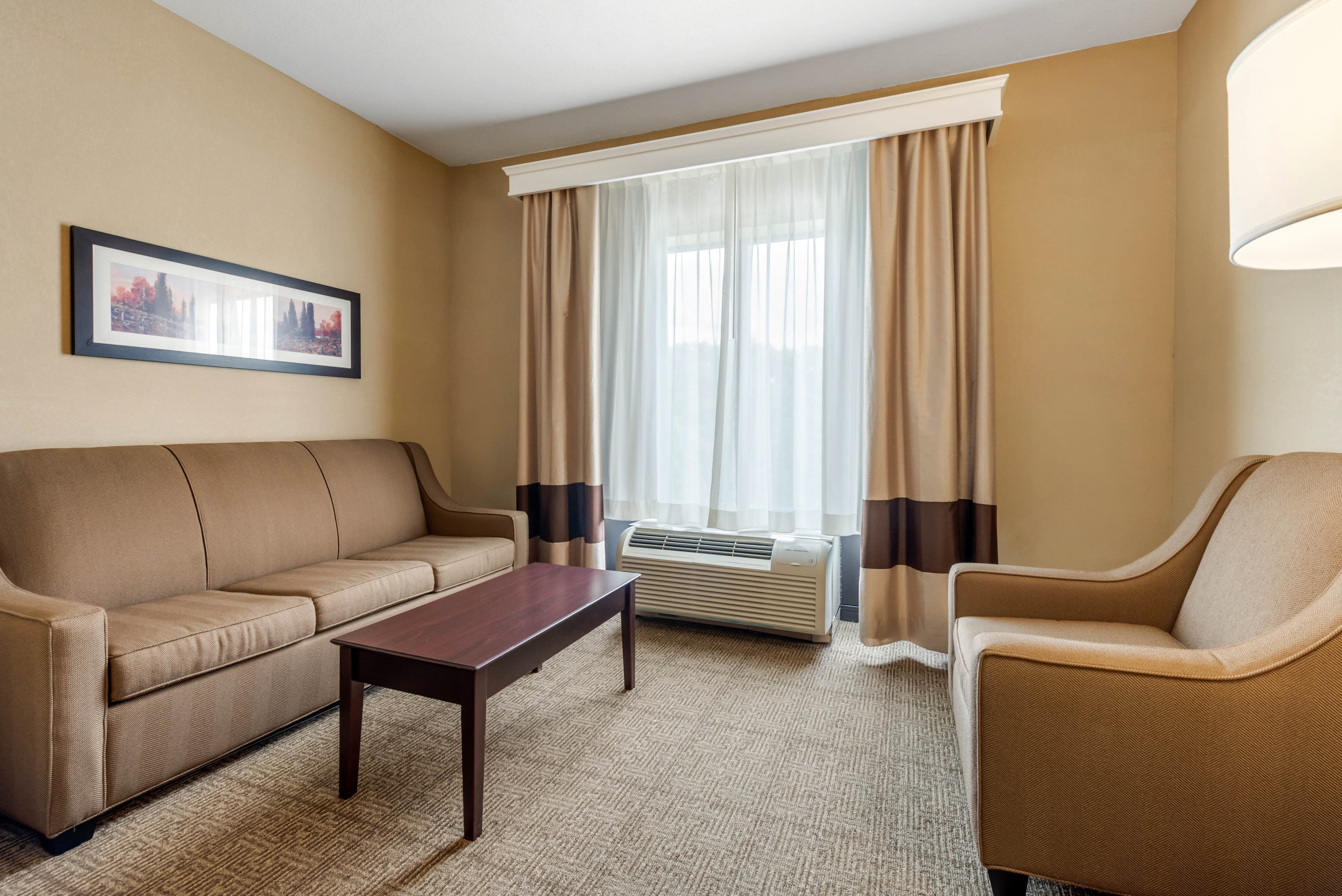Comfort Suites near Route 66 — 18