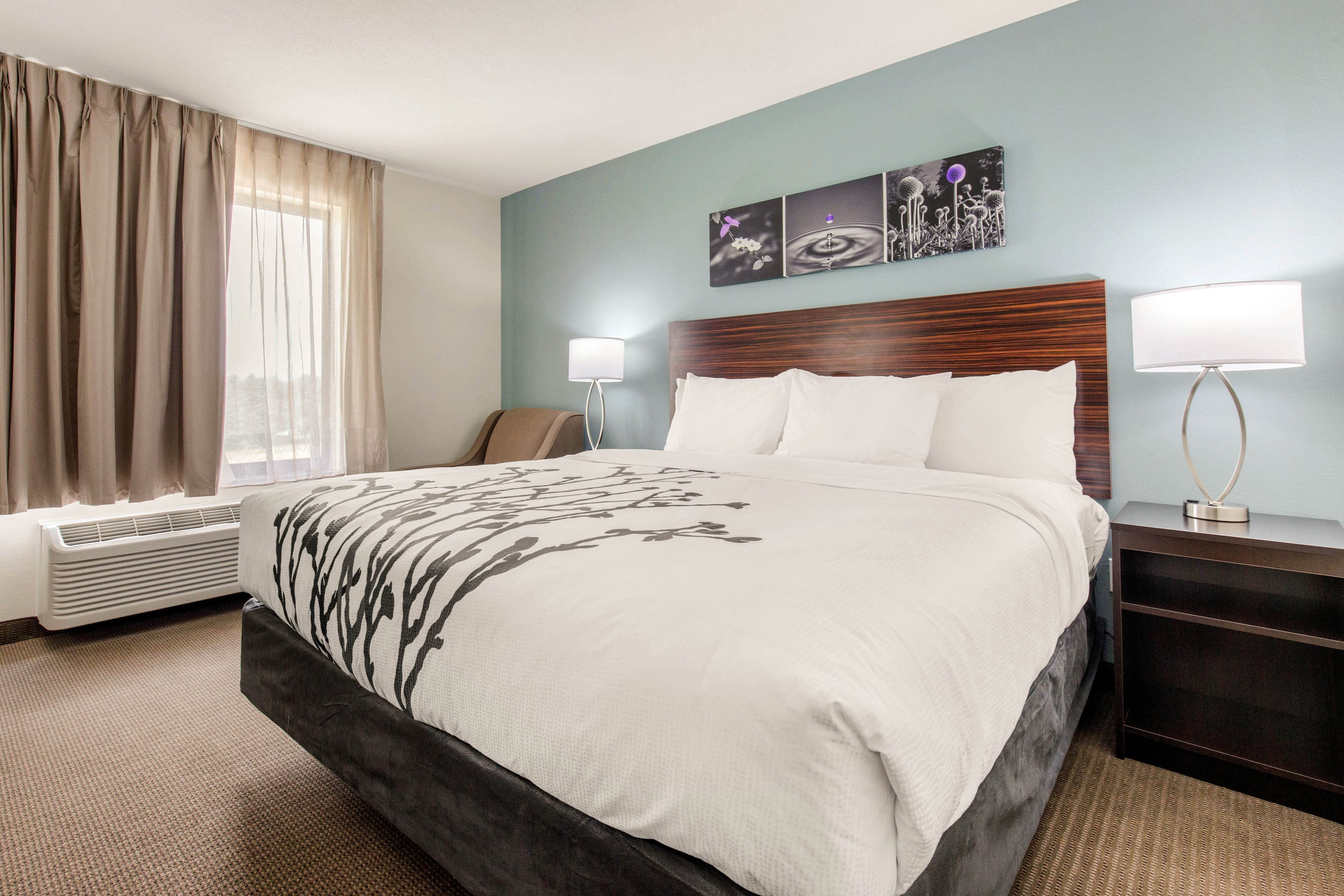 Sleep Inn & Suites South Jacksonville — 21