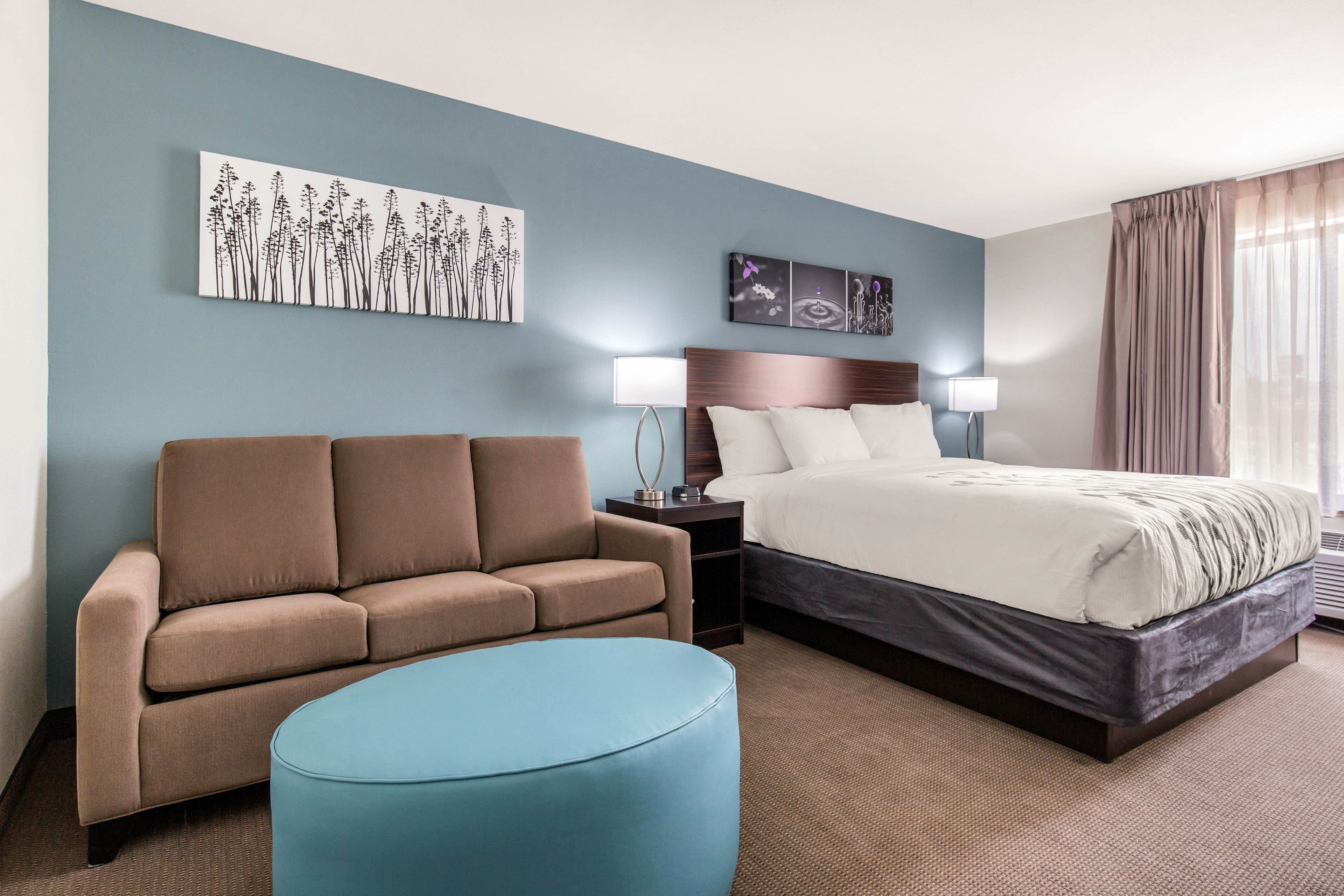Sleep Inn & Suites South Jacksonville — 31