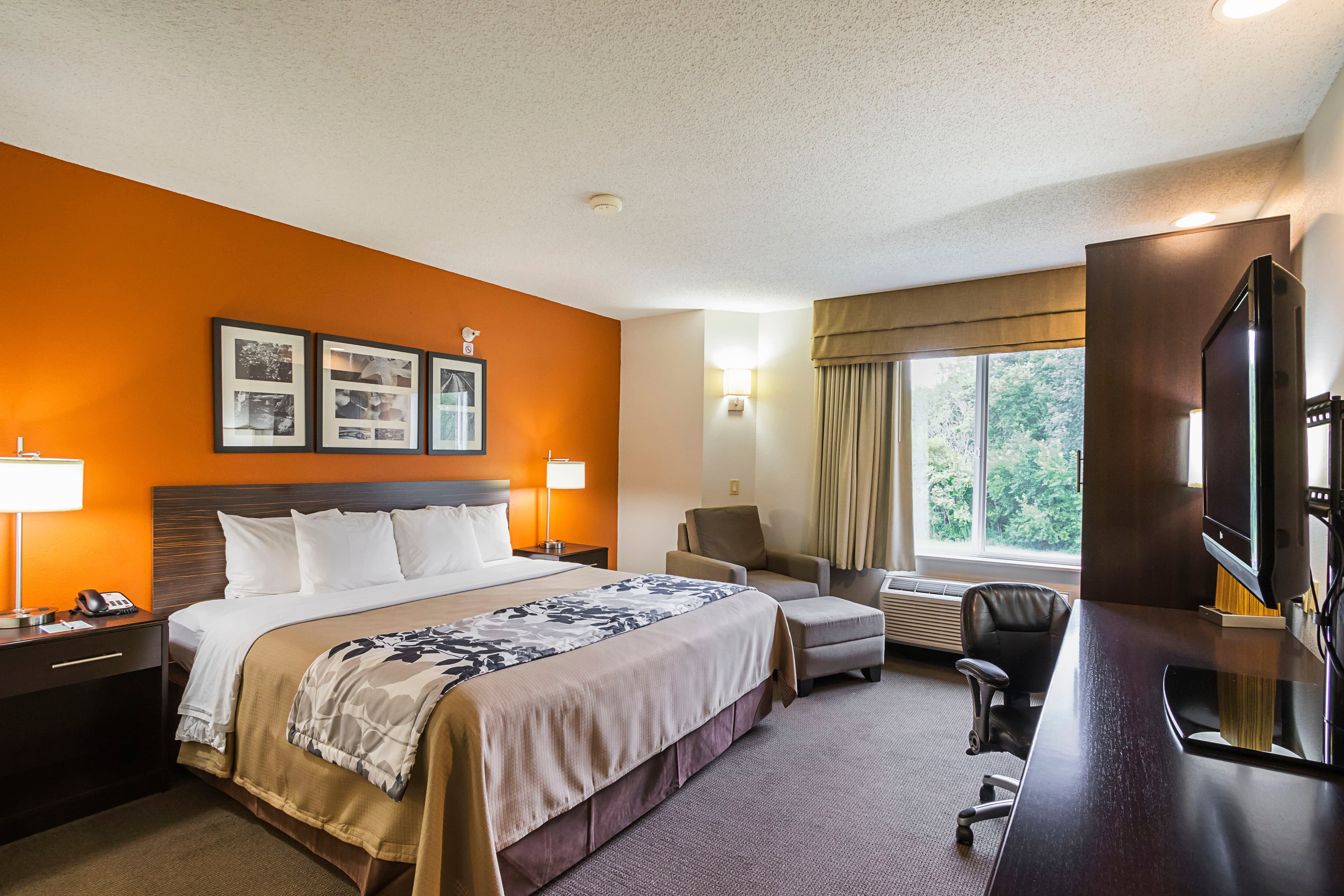 Sleep Inn & Suites - Image 1