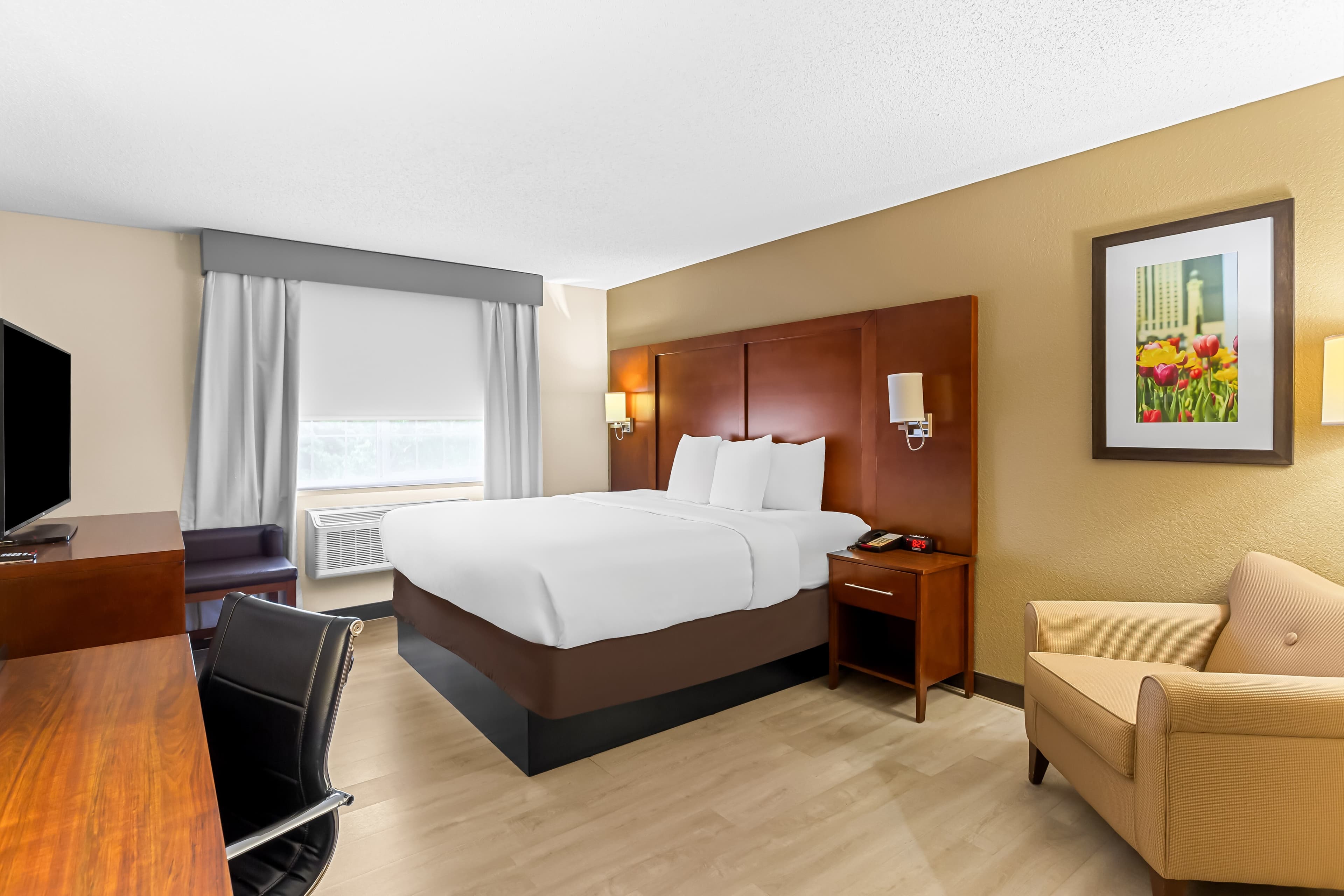 Comfort Suites Grayslake near Libertyville North - Image 2
