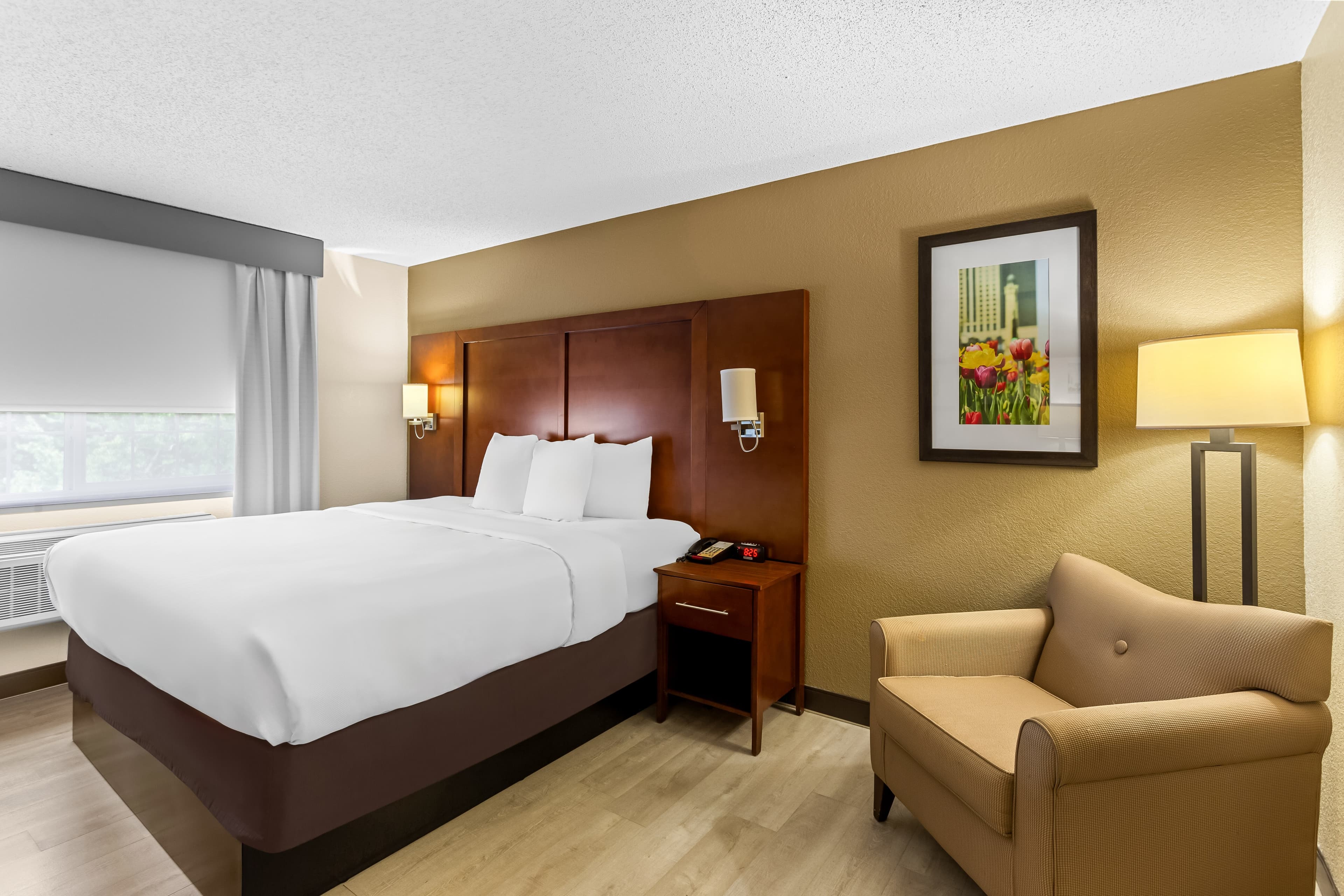 Comfort Suites Grayslake near Libertyville North - Image 3