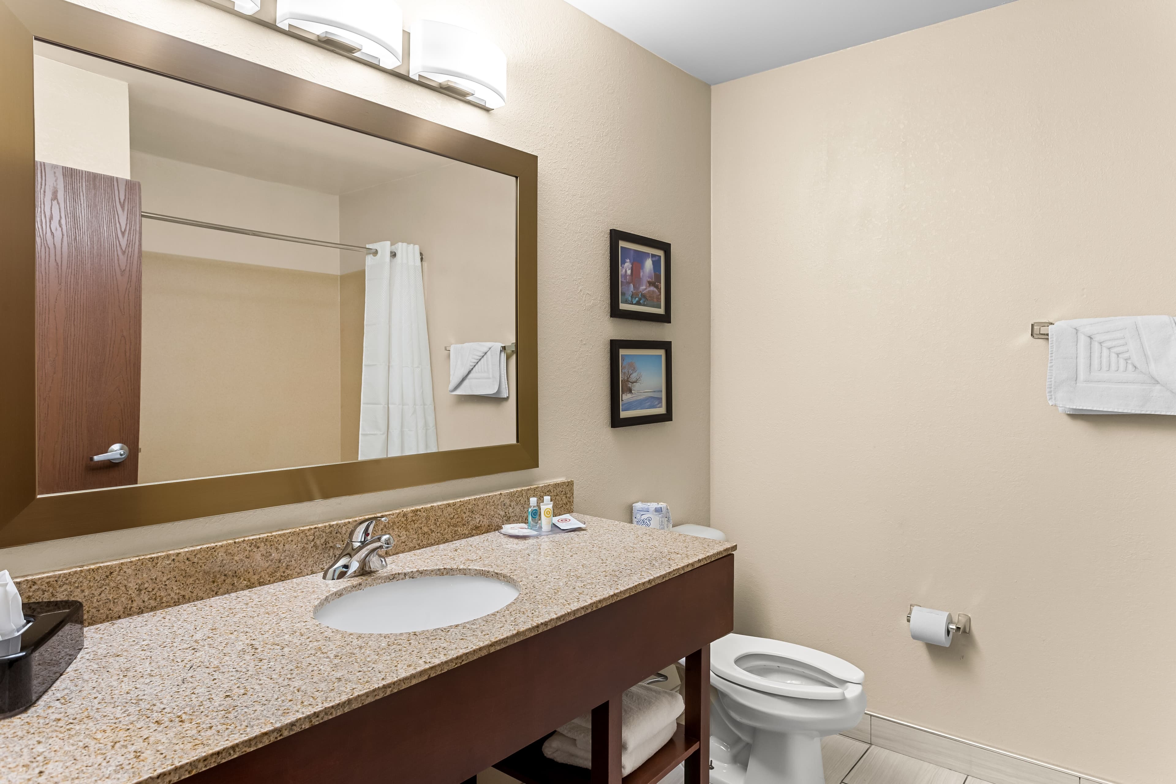 Comfort Suites Grayslake near Libertyville North — 10