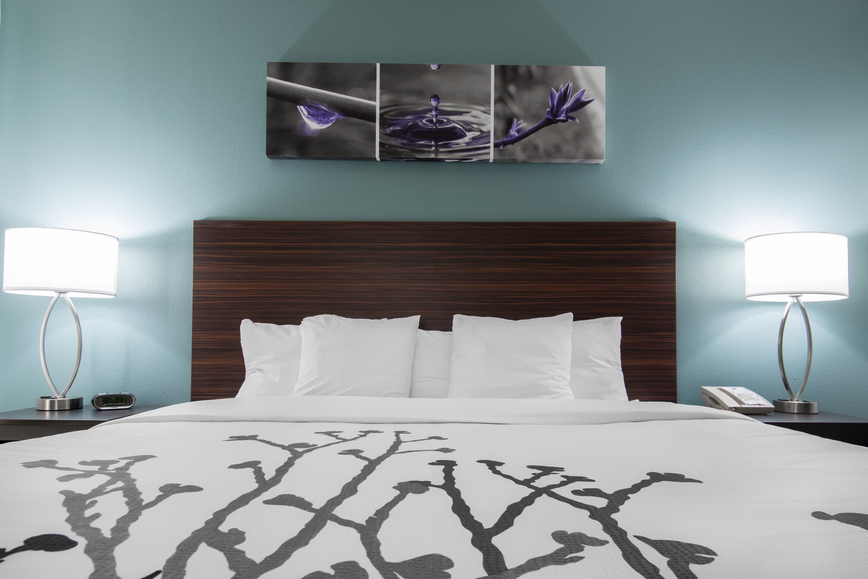 Sleep Inn & Suites Washington near Peoria - Image 1