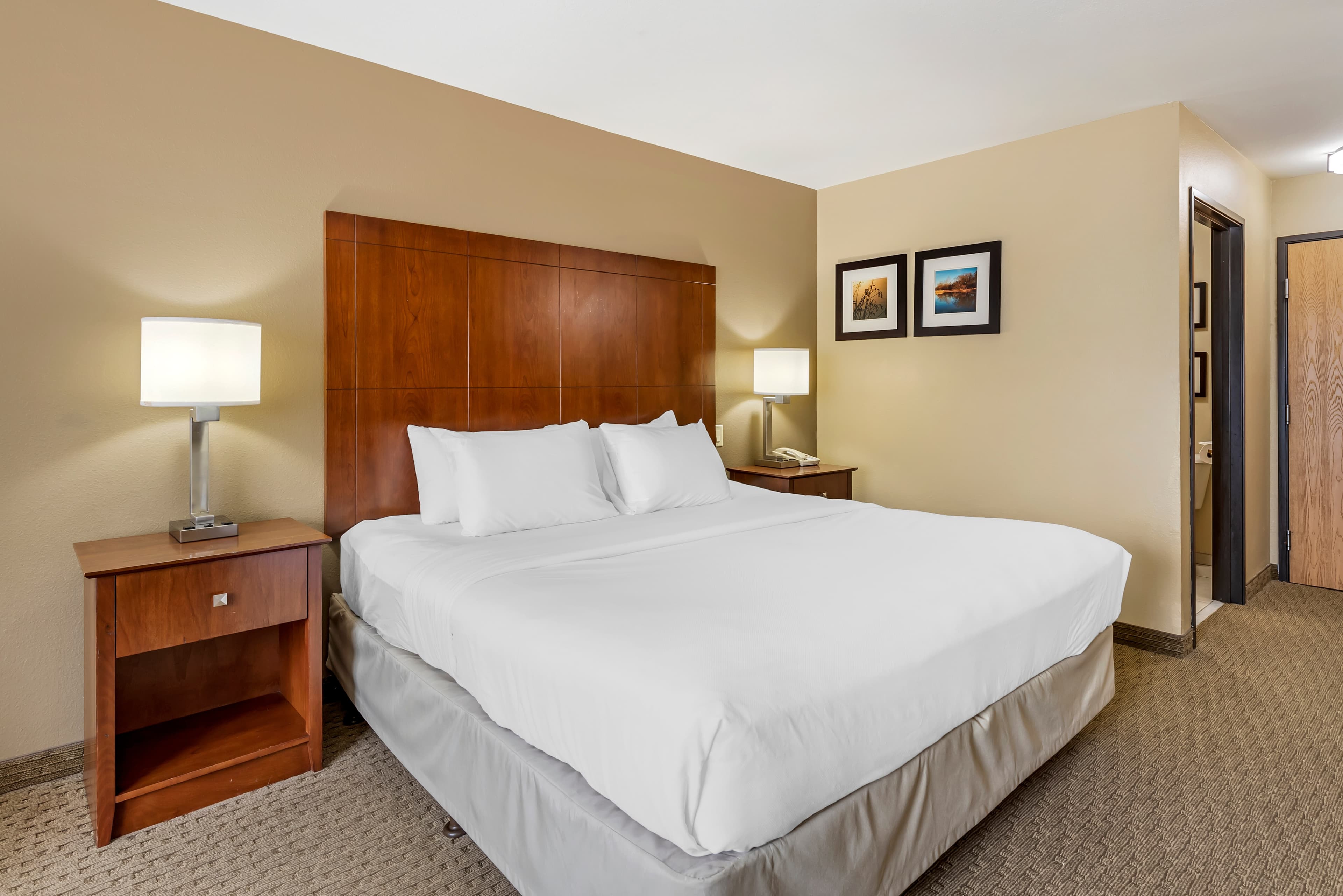 Comfort Inn & Suites East Moline near I-80 - Image 2