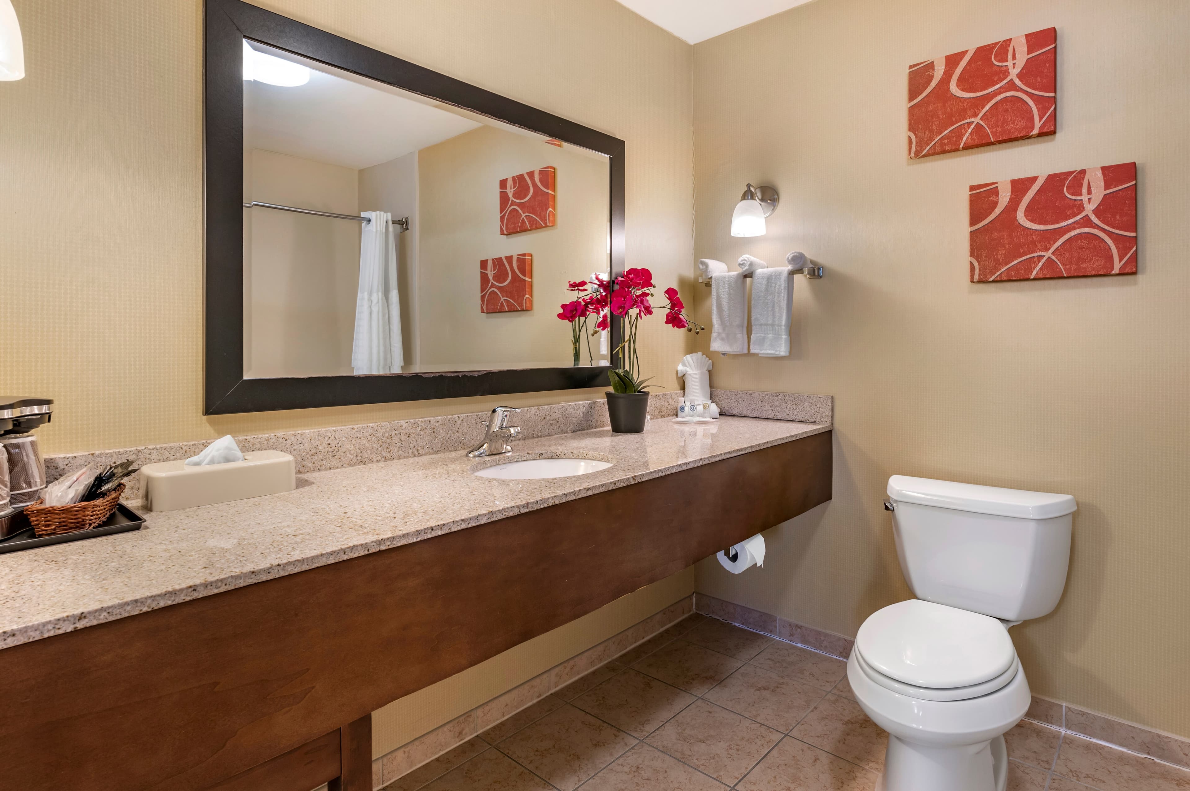 Comfort Suites Urbana Champaign, University Area — 6