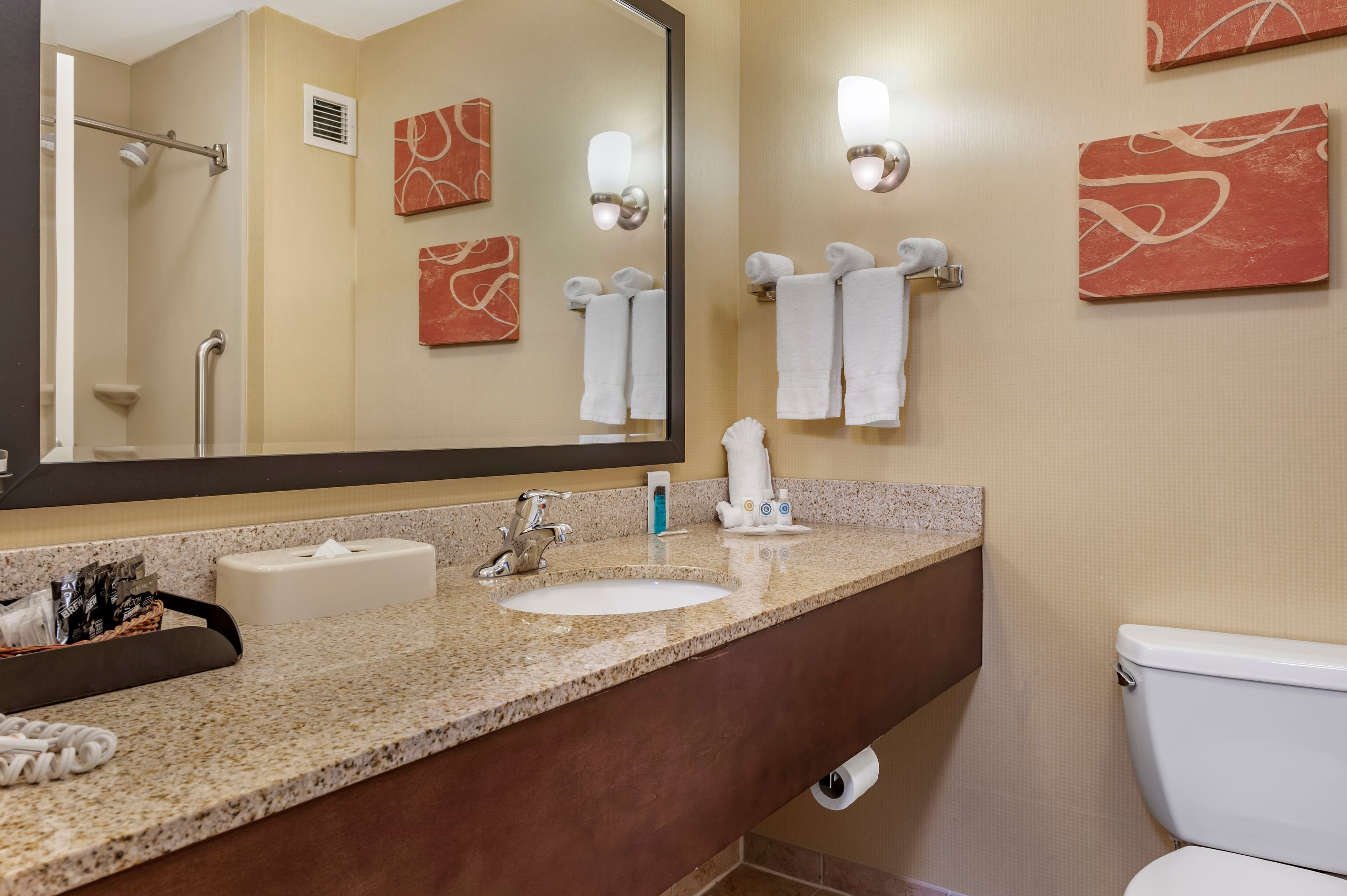 Comfort Suites Urbana Champaign, University Area — 10