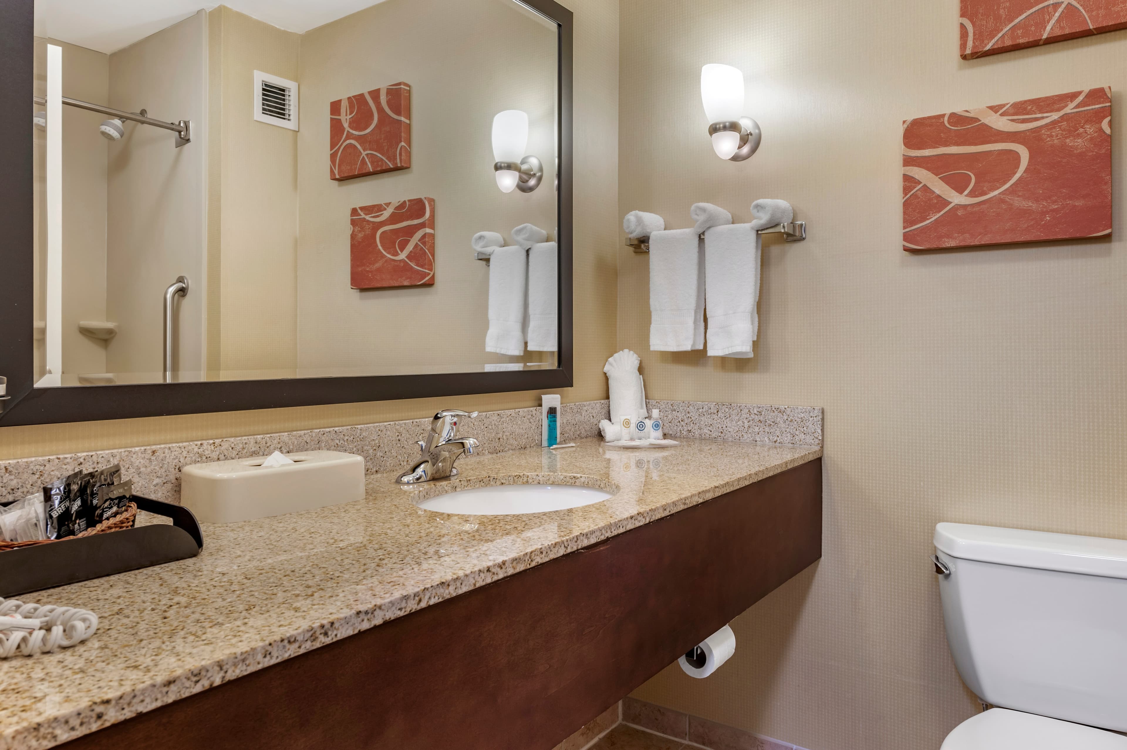 Comfort Suites Urbana Champaign, University Area — 20