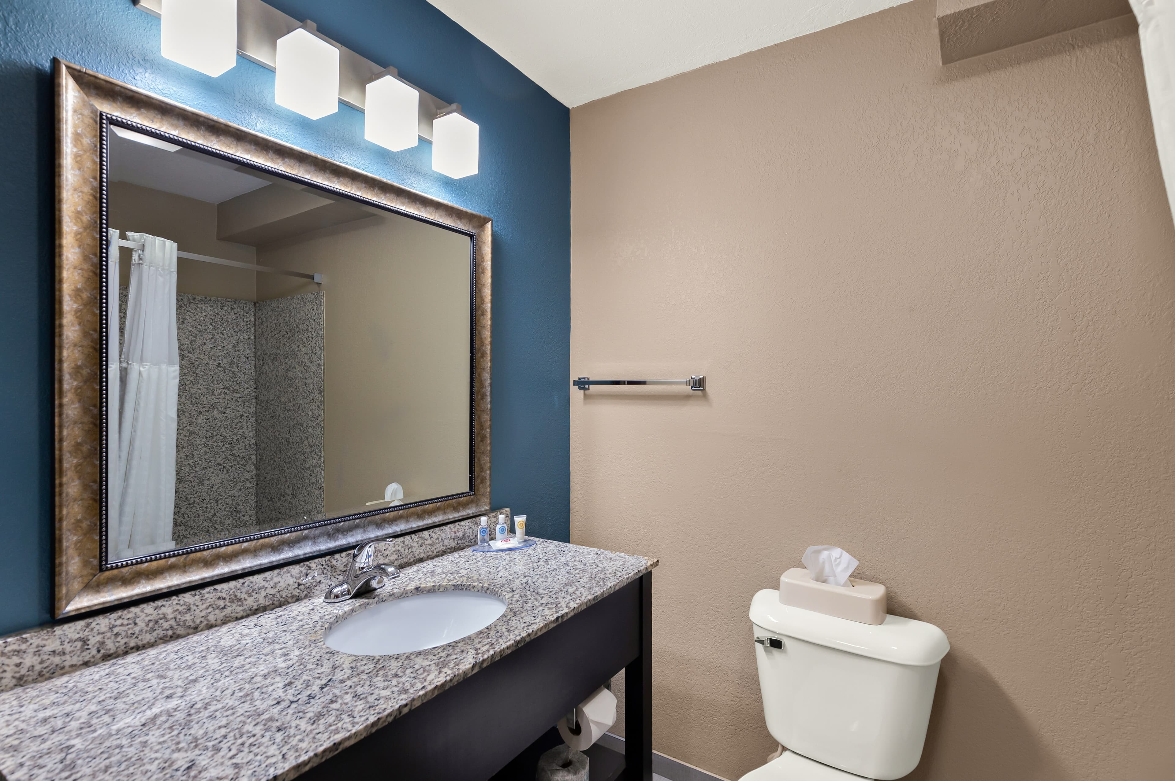 Comfort Inn & Suites Springfield I-55 — 10
