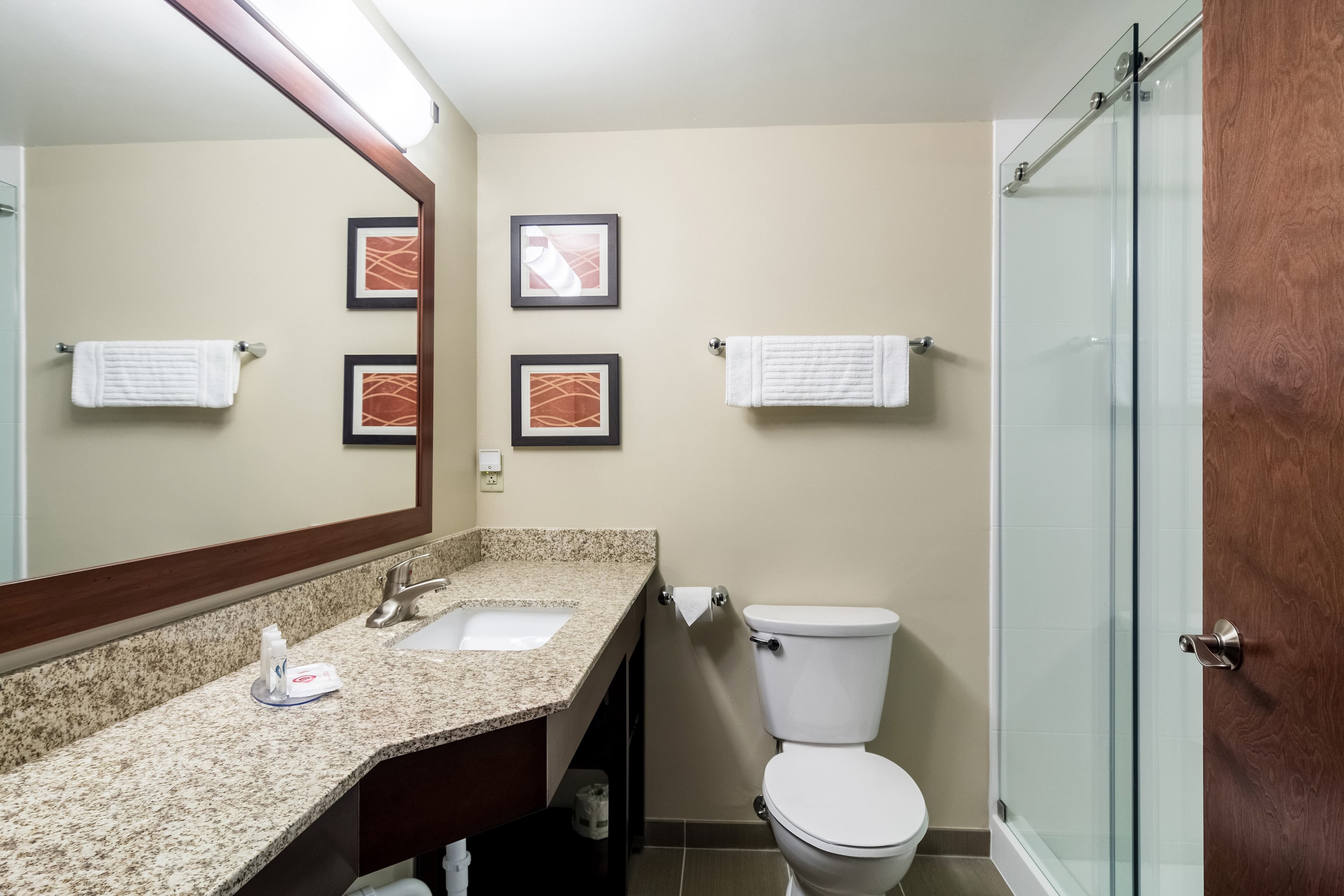 Comfort Inn Edwardsville - St. Louis — 21