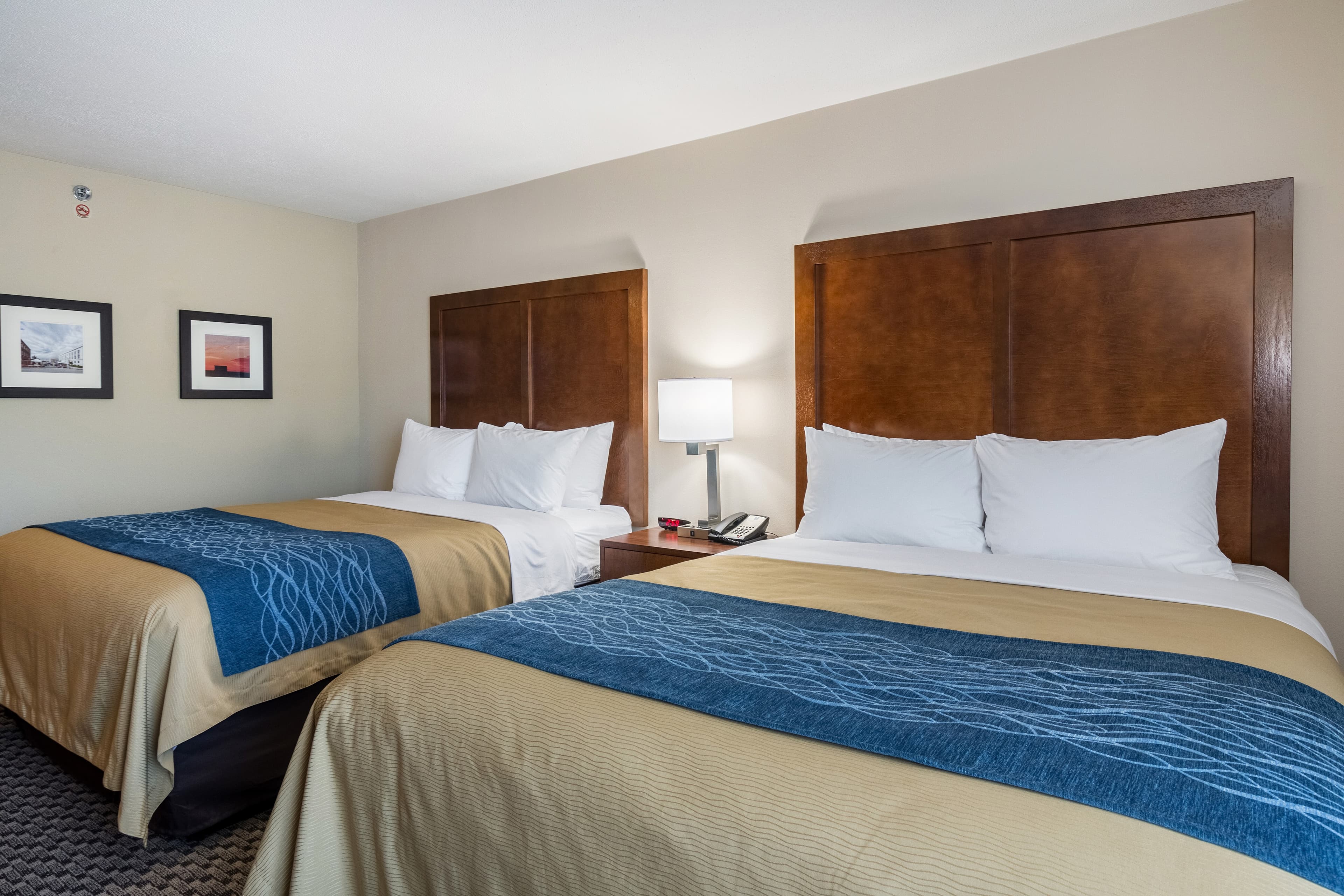 Comfort Inn Edwardsville - St. Louis — 13