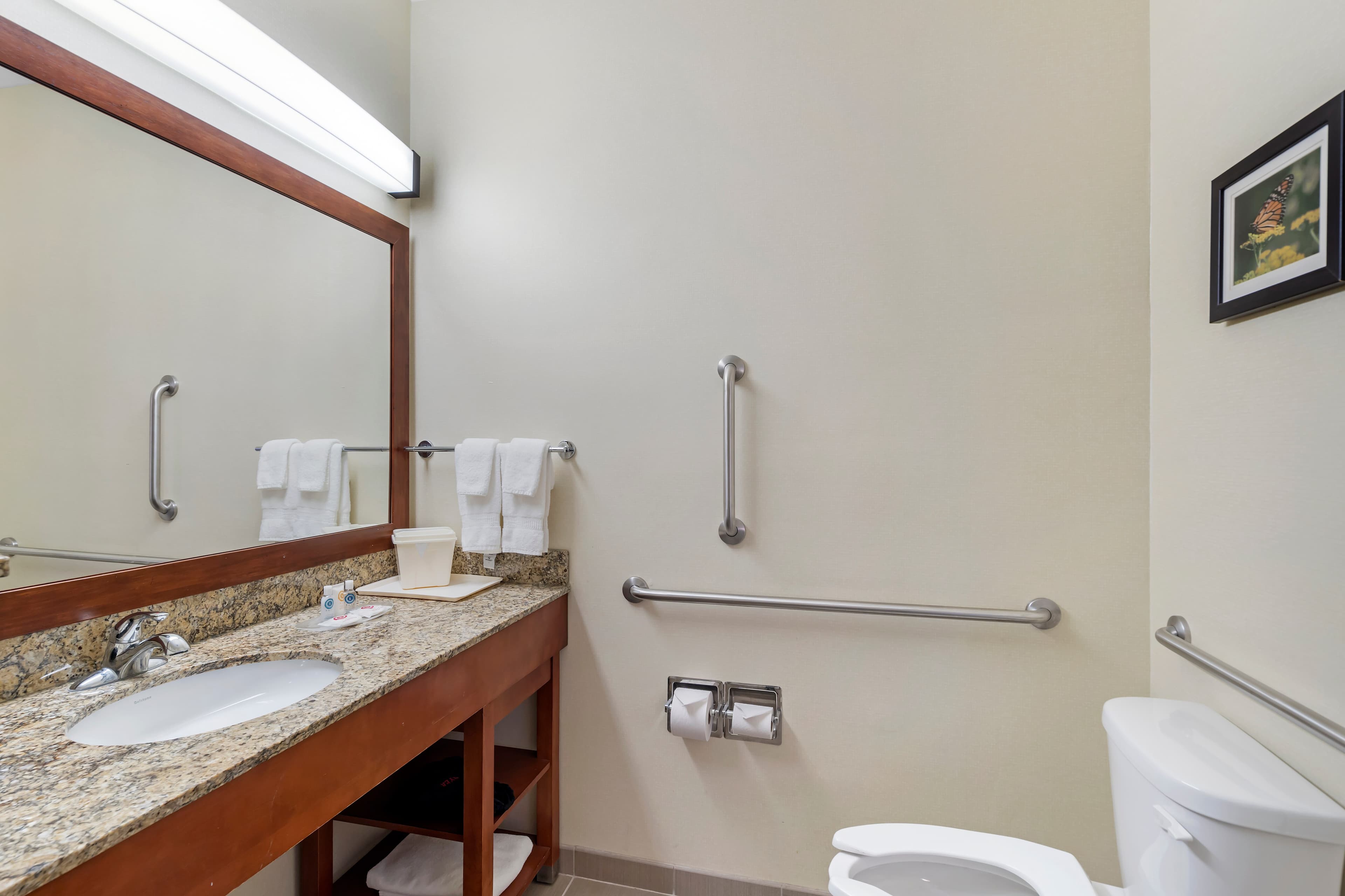 Comfort Suites Normal University area — 13