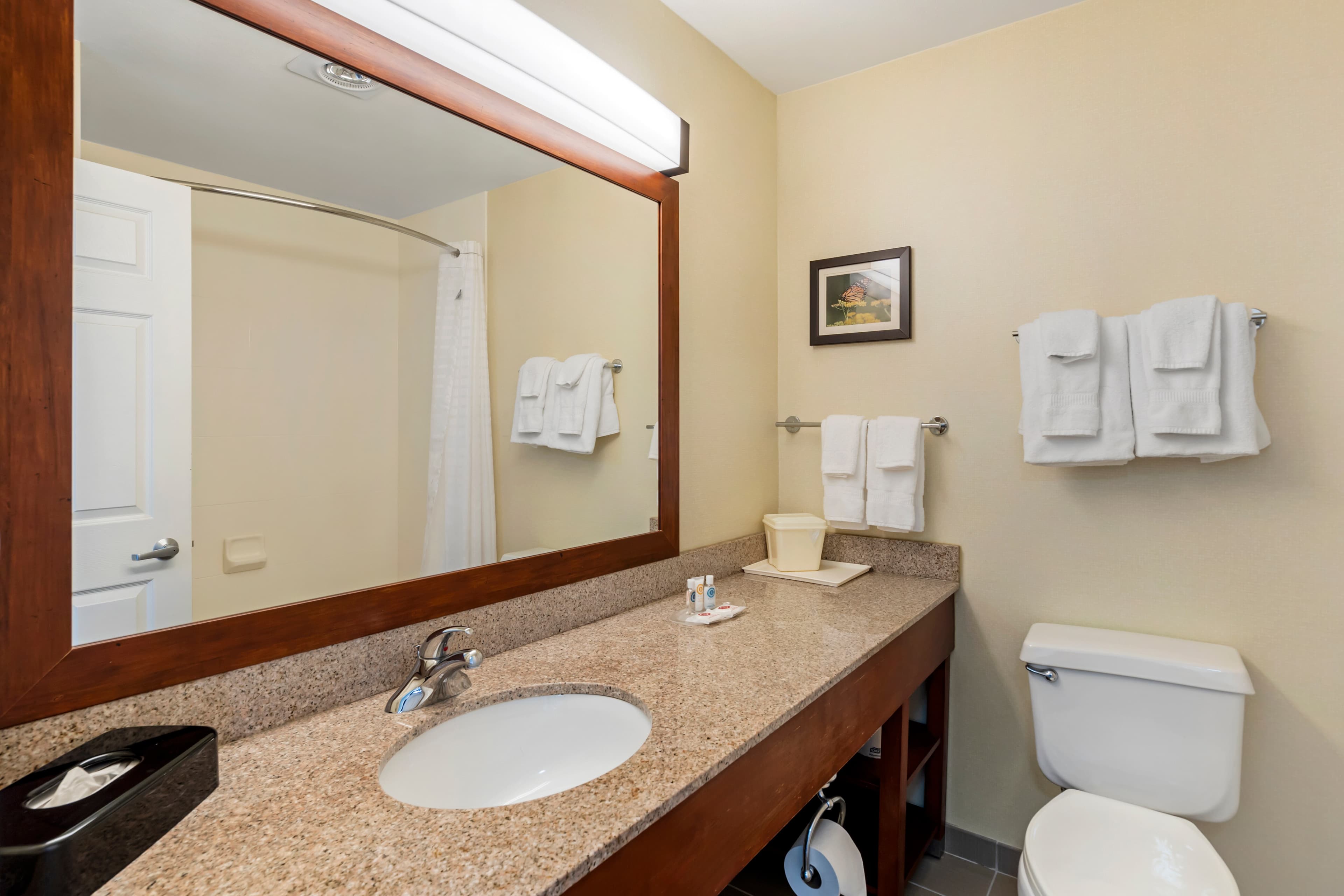 Comfort Suites Normal University area — 17