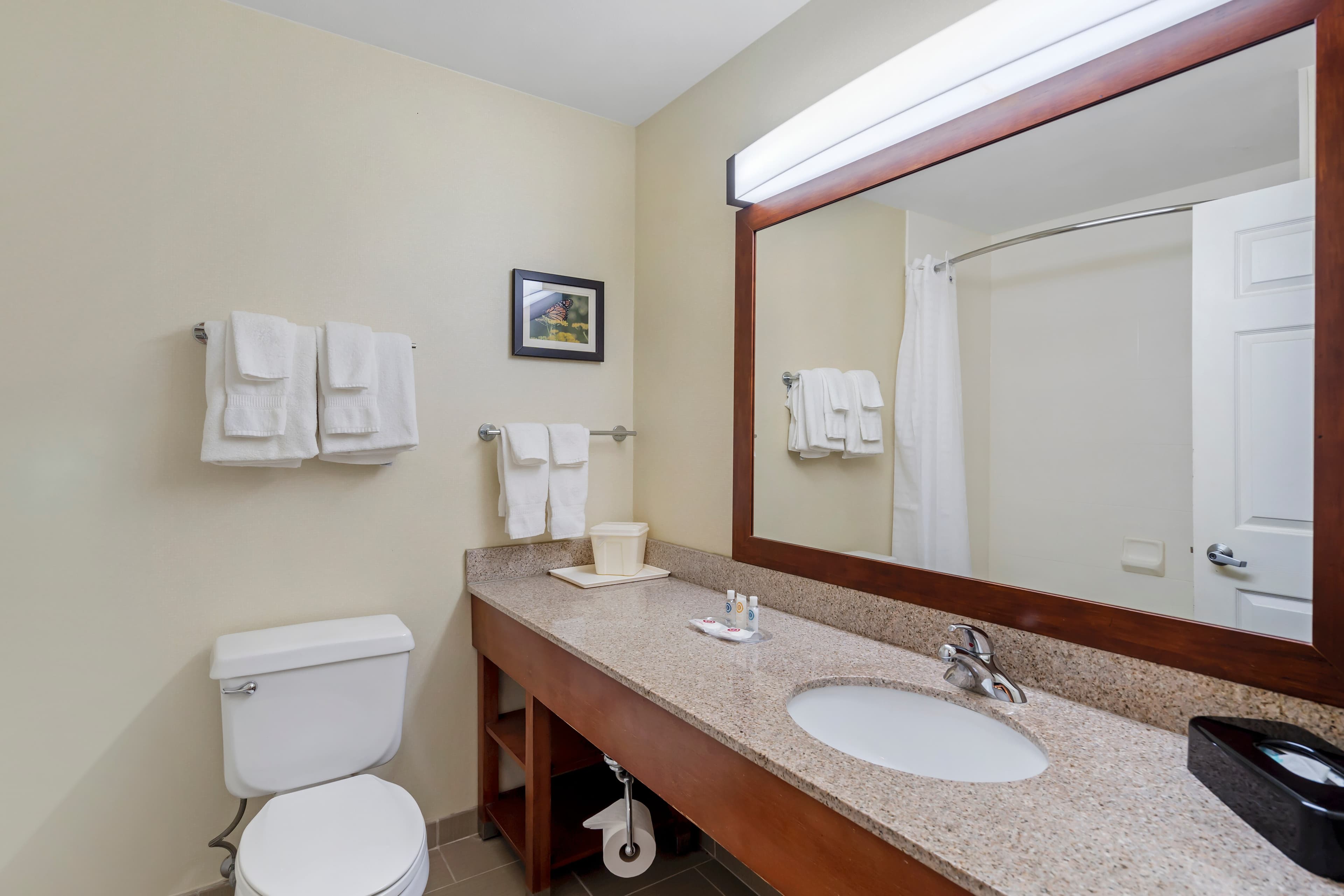 Comfort Suites Normal University area - Image 5