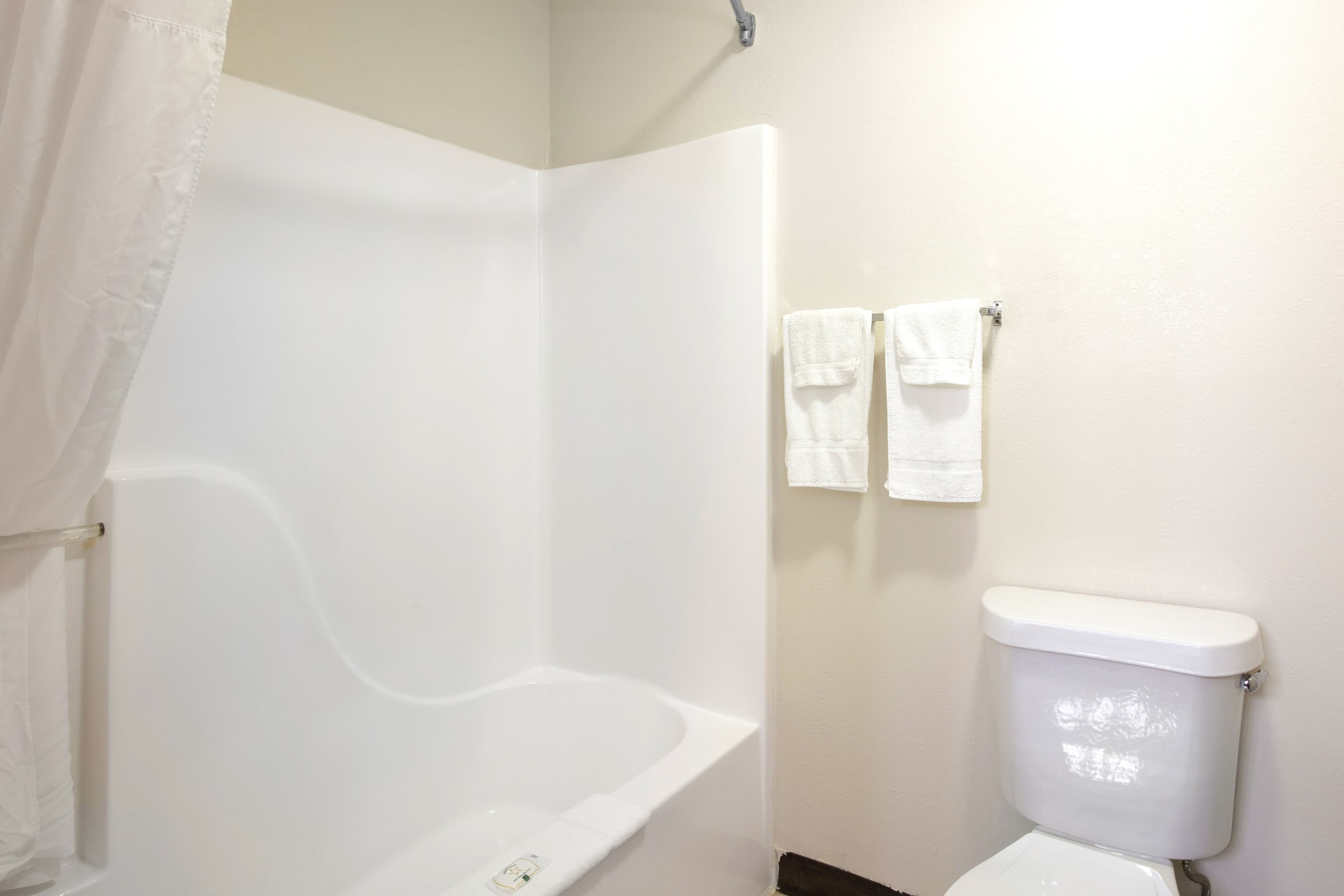 Quality Inn & Suites Metropolis I-24 — 11