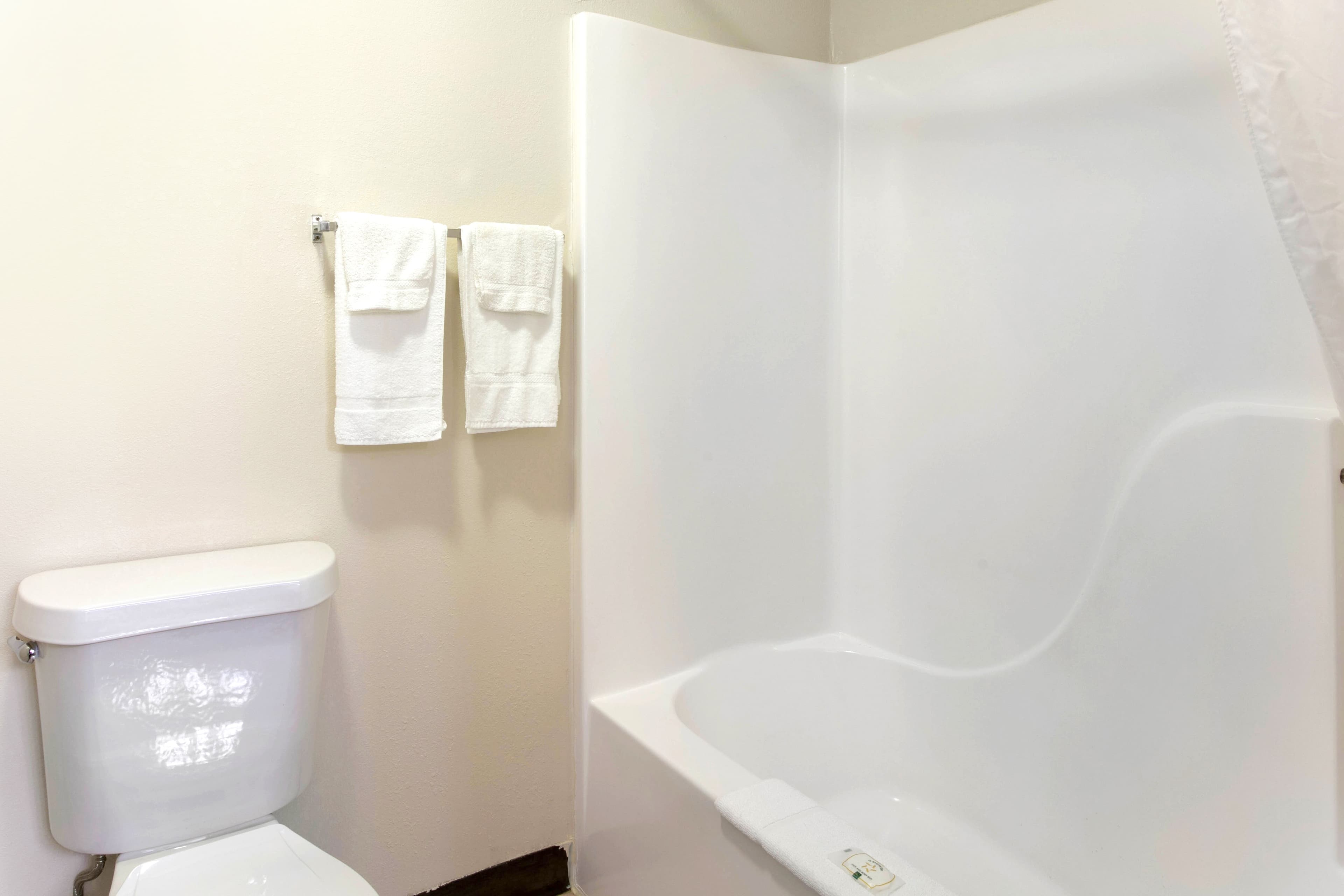 Quality Inn & Suites Metropolis I-24 — 19